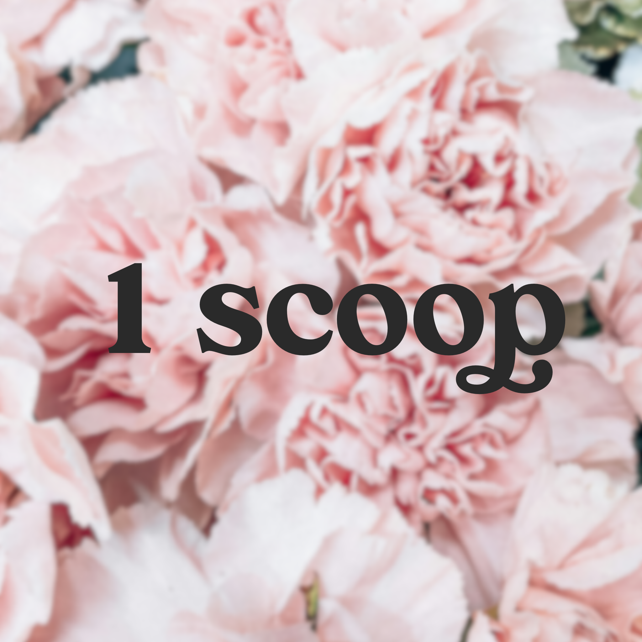 1 Mystery Scoop + FREE Social Media Packing Video