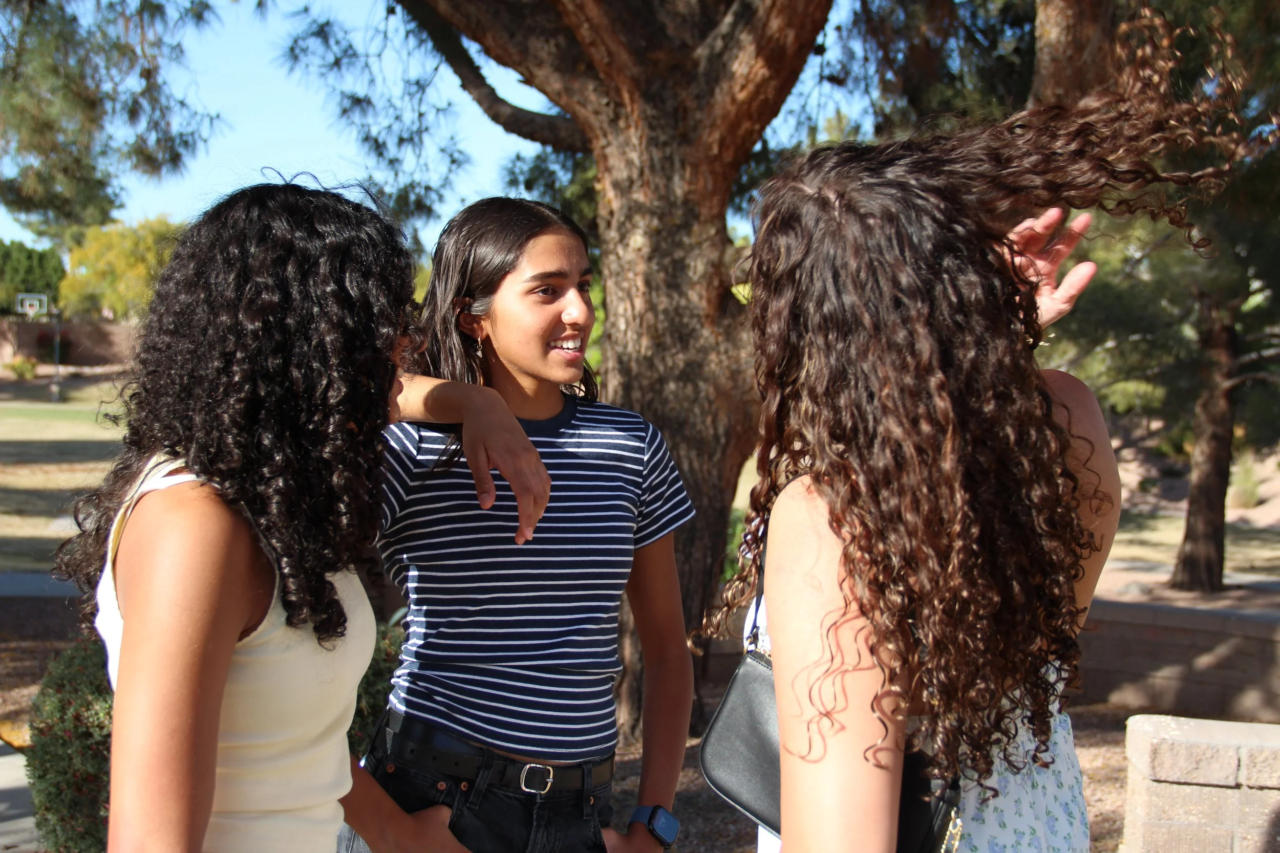 Three young women talking outdoors under a tree on a sunny day
