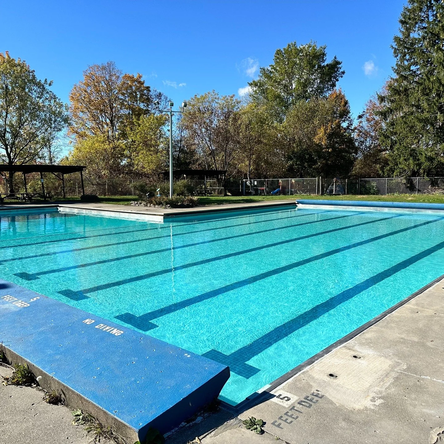 🎉🌊 Big News from Ithaca Swim Club! 🌊🎉

We&rsquo;re thrilled to announce the launch of our brand-new website! 🖥️✨ Head over to https://www.ithacaswimclub.com/
 to check it out &mdash; it&rsquo;s your one-stop spot for all things ISC: info about o