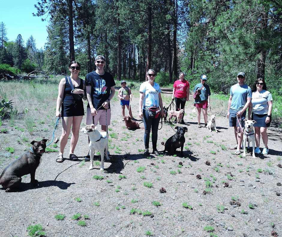 Puppy & owner socialization through local Spokane, WA community pup walks. Open to anyone!