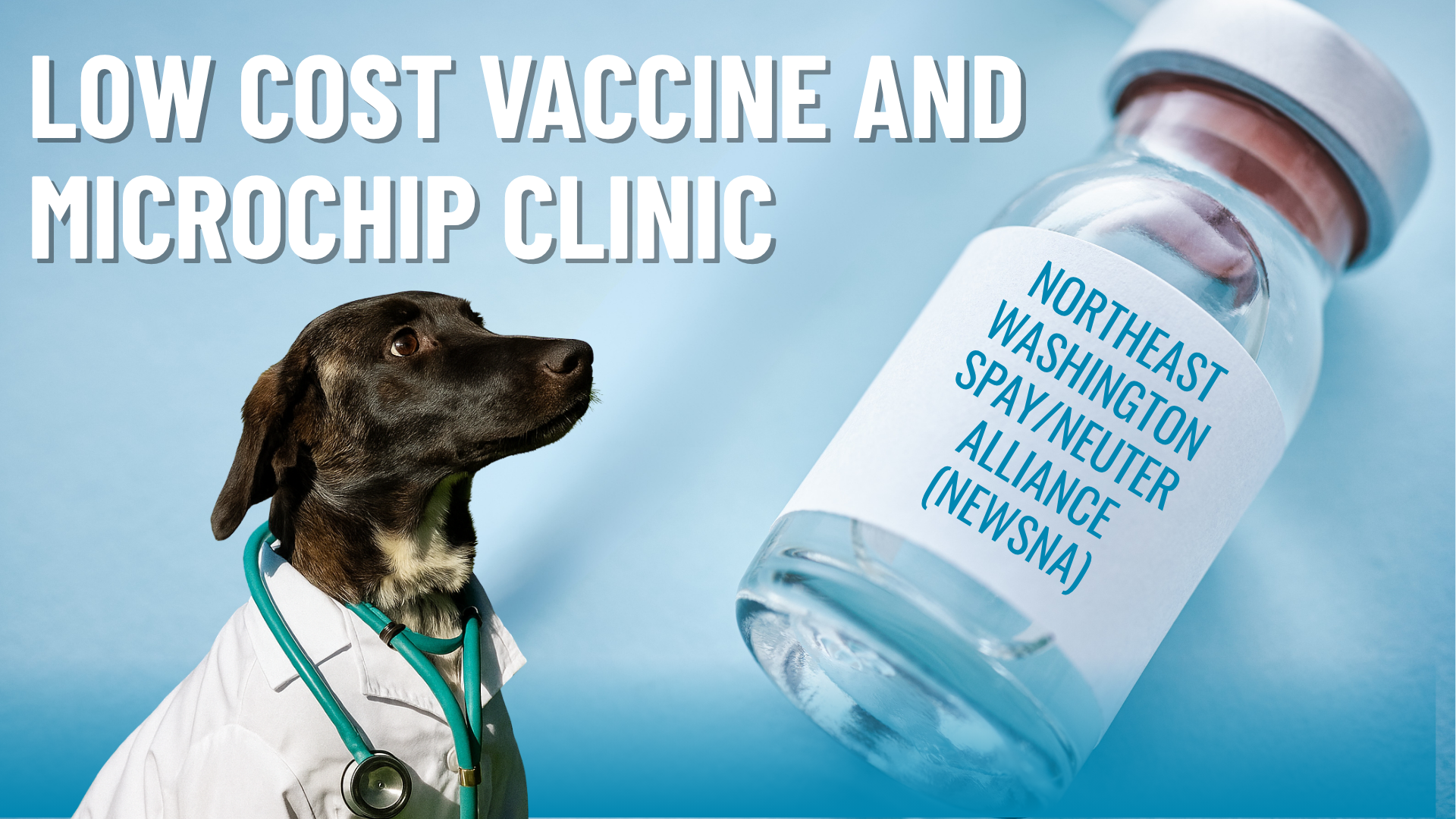 NEWSNA: Low Cost Vaccine &amp; Microchipping