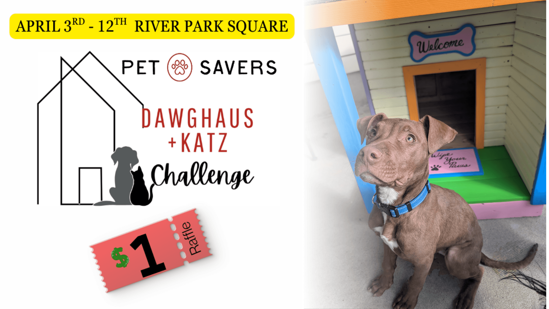 Pet Savers Dawghaus + Katz Challenge