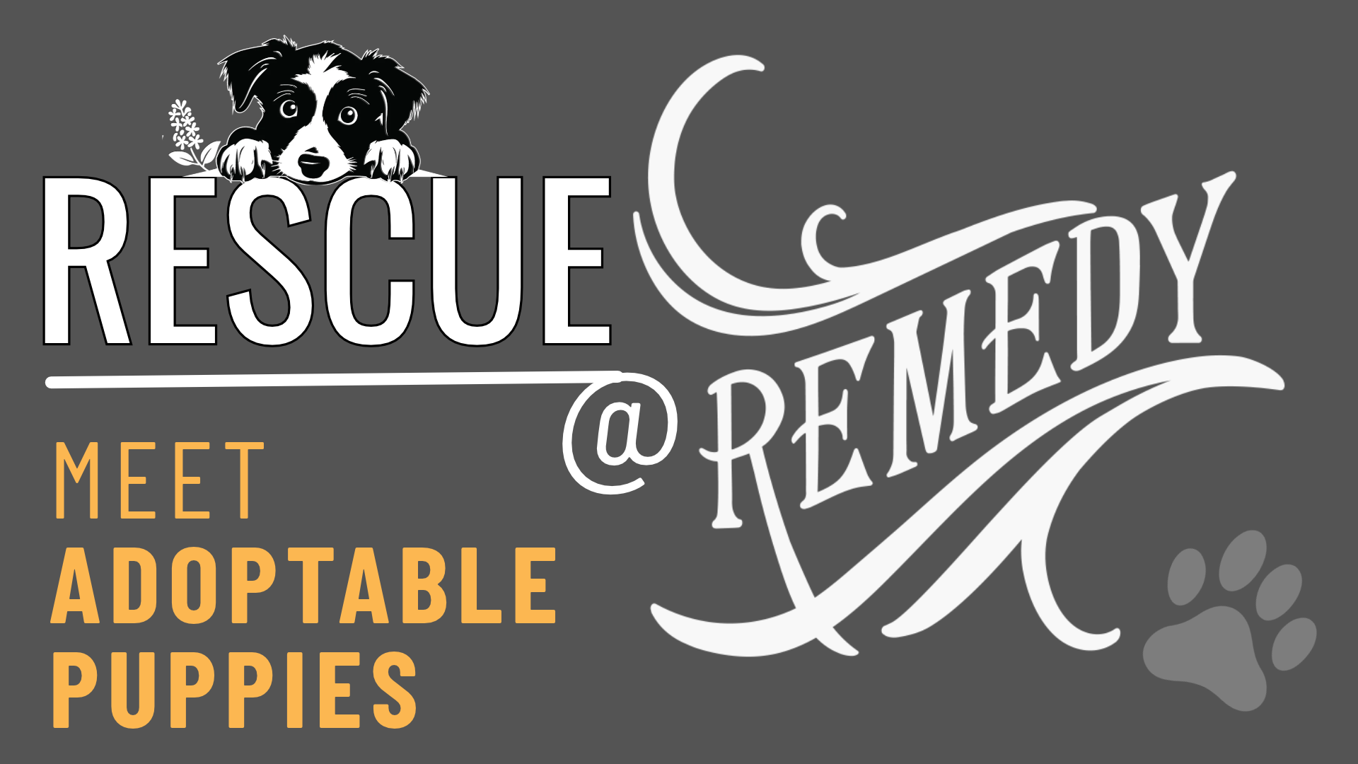 Rescue at Remedy