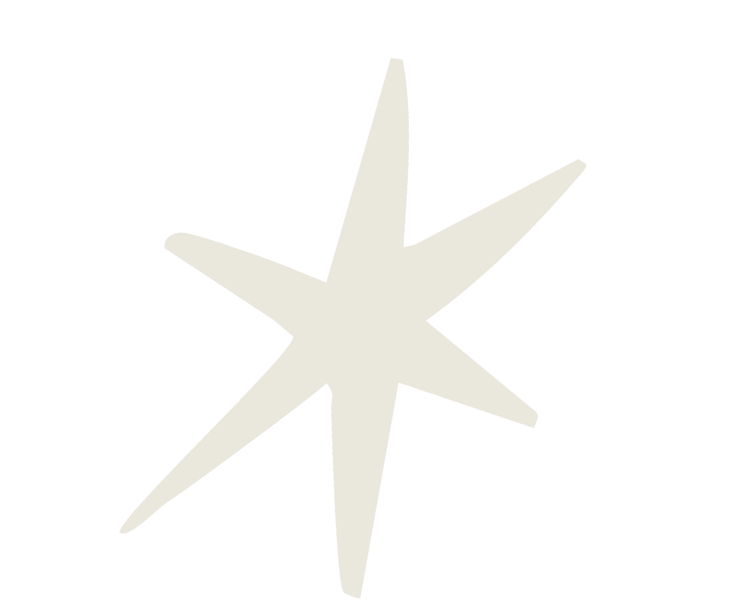 A white star-like symbol with a thick outline on a black background.