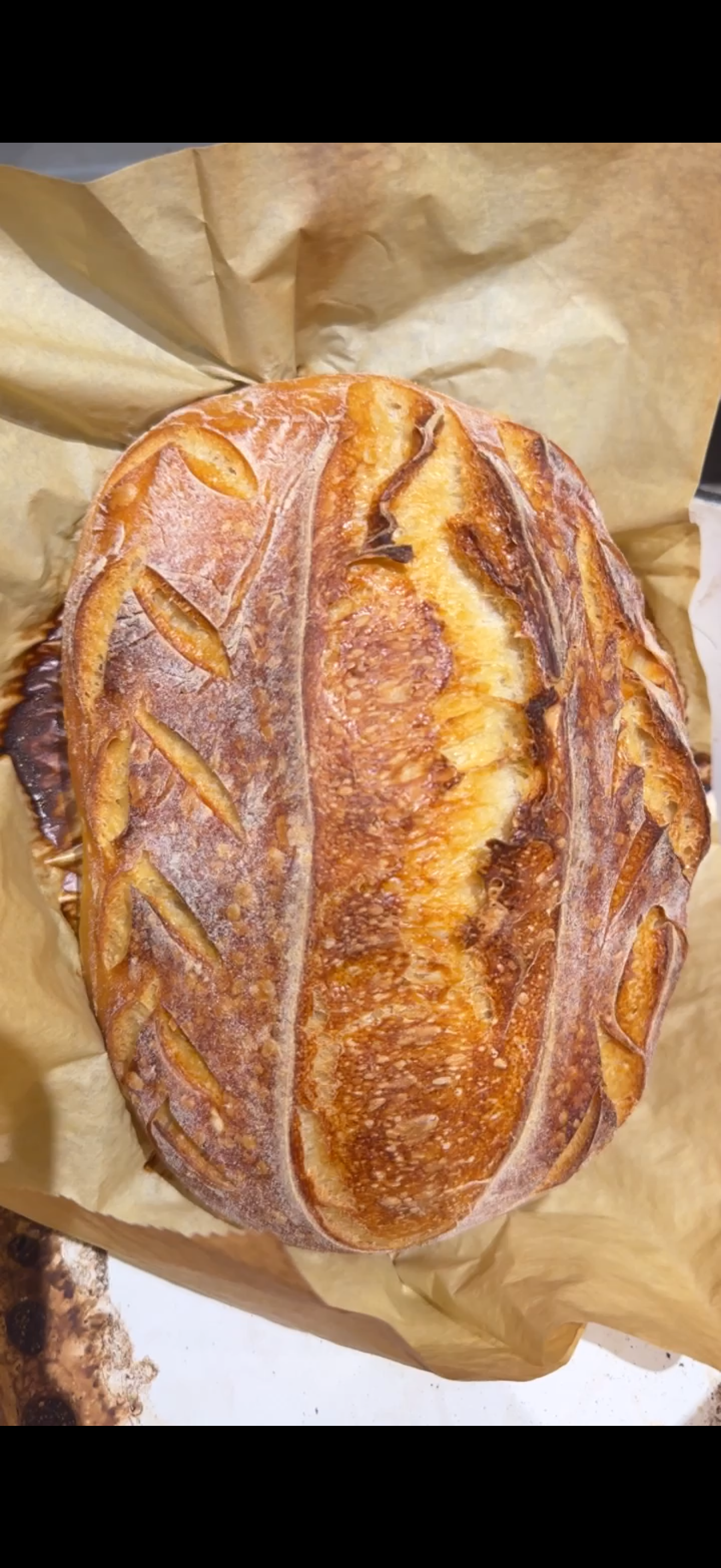 Traditional Sourdough Loaf