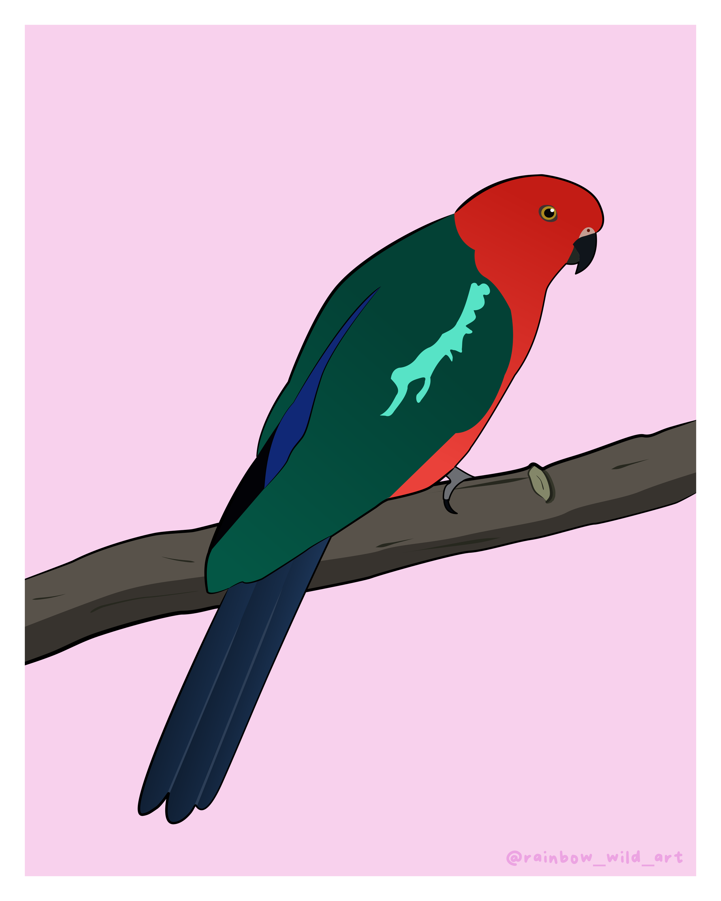 Digital illustration of a colorful parrot with red head, green wings, blue tail, perched on a branch against a pink background.