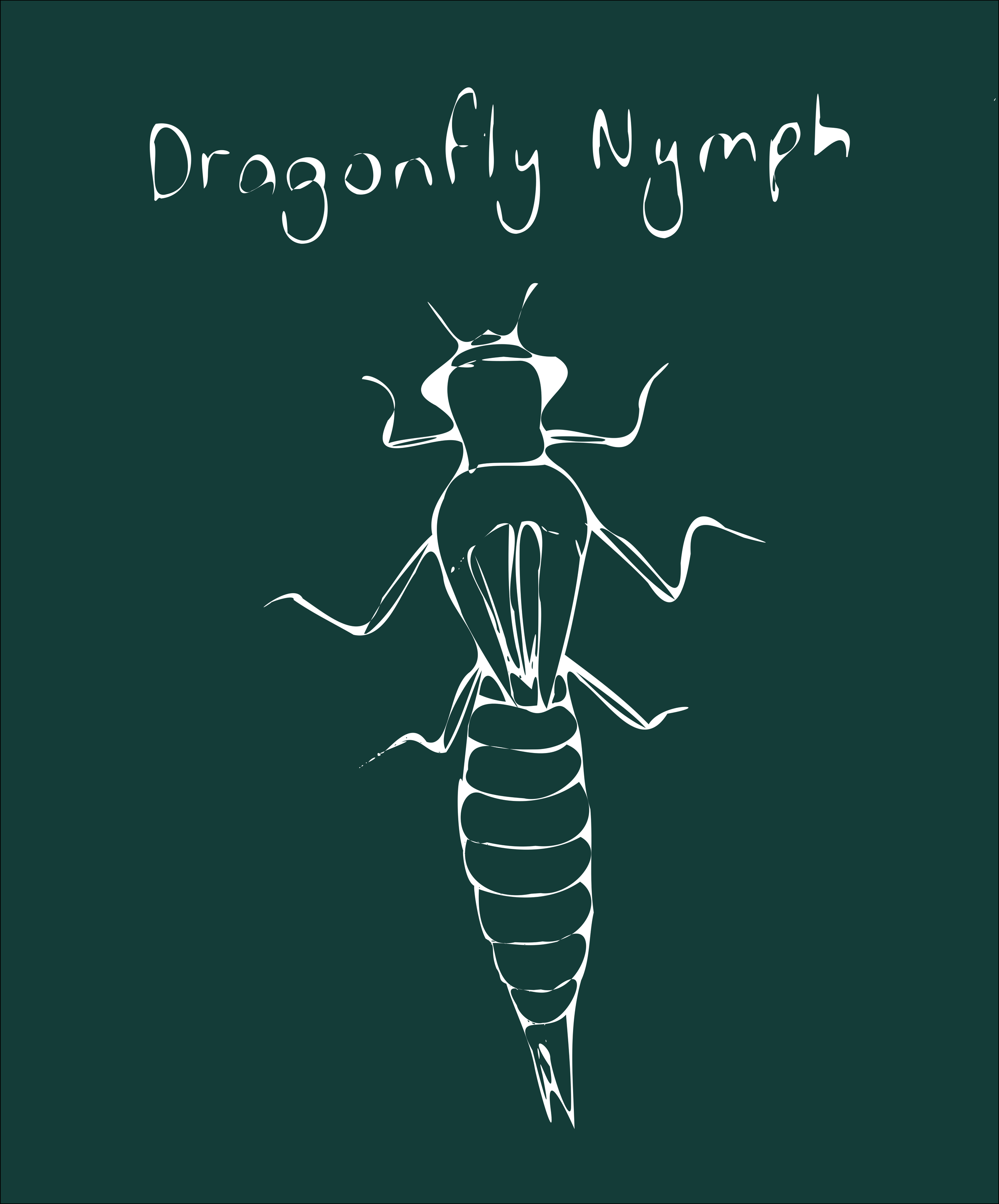 Illustration of a firefly with the words 'Dragonfly Nymph' above it, on a dark-green background.