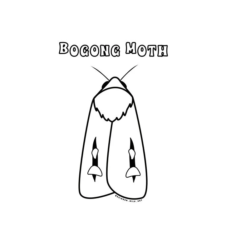 Bogong Colouring low qual.jpg