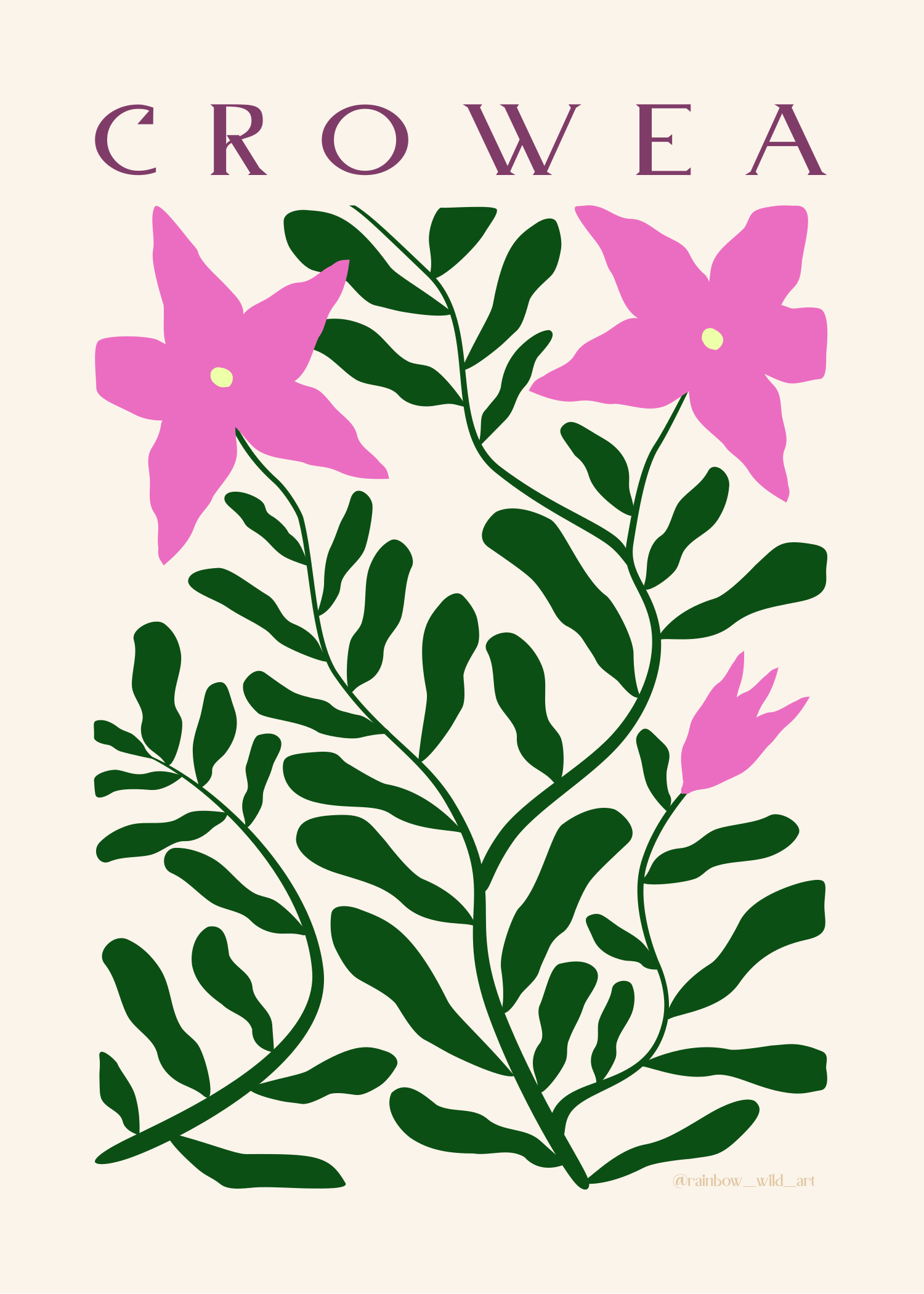 Digital illustration of a plant with dark green leaves and pink flowers against a light background. The word "CROWEA" is written at the top.