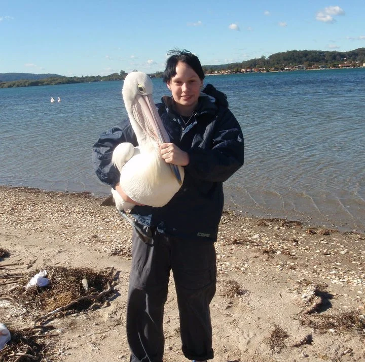 Person holding a large white pelican on a sandy lakeshore with water, hills, and blue sky in the background.