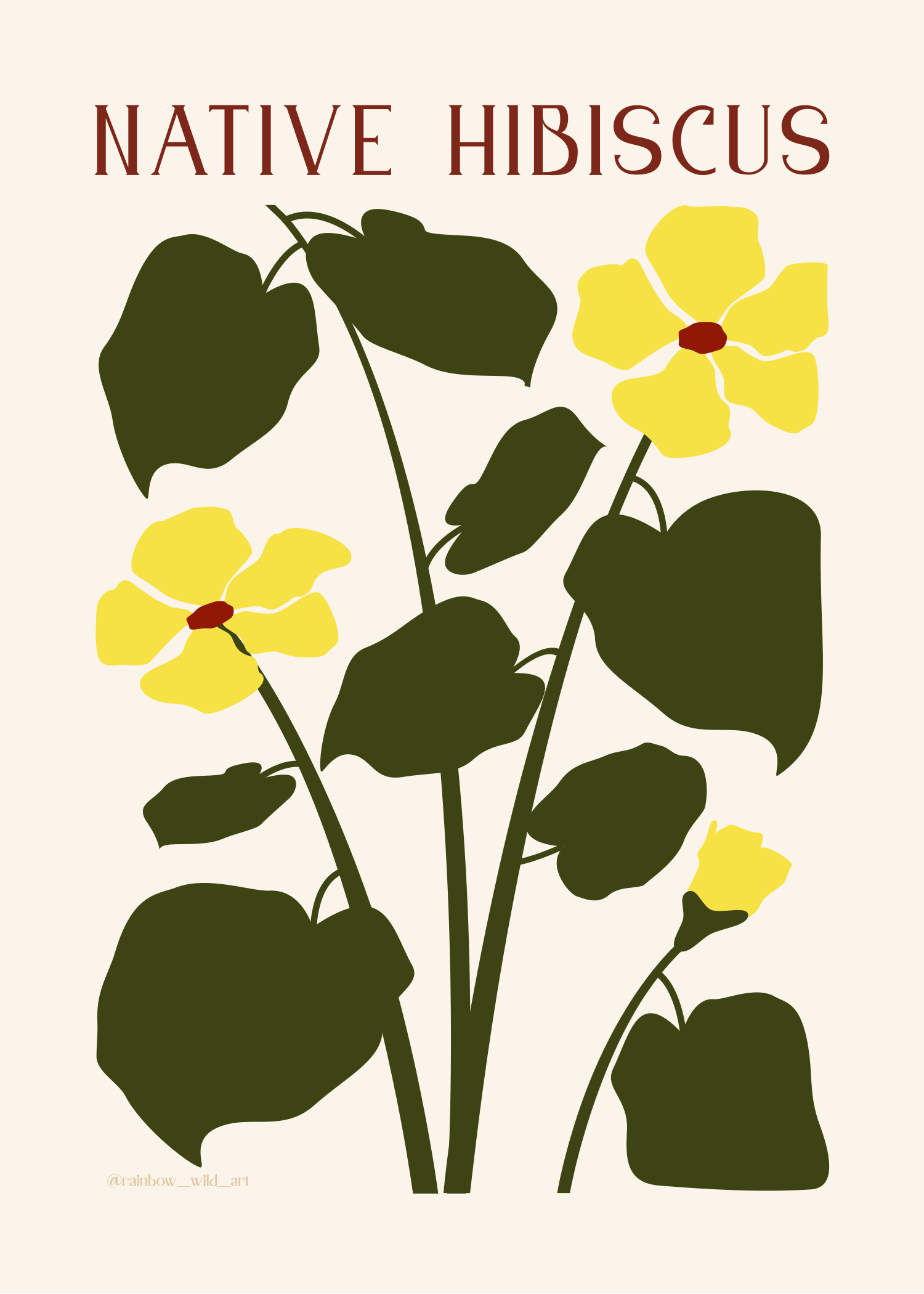 Illustration of native hibiscus plant with dark green leaves and yellow flowers with red centers, on a light background.