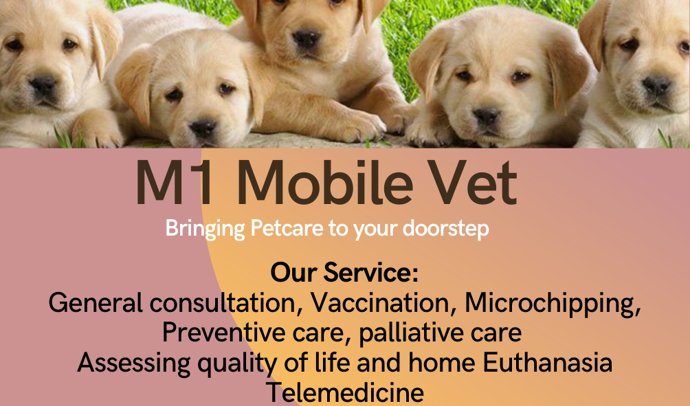 After hour Consultation