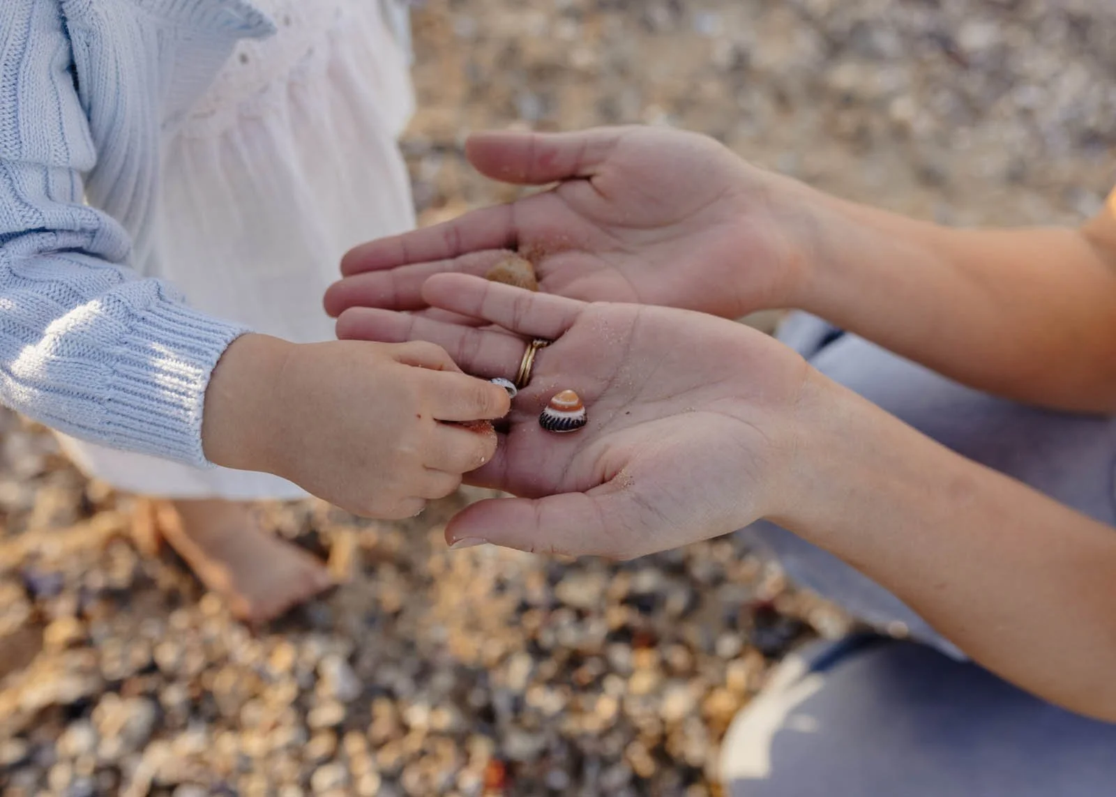 gold-coast-family-photographer-hands-holding-shells-close-up.jpg