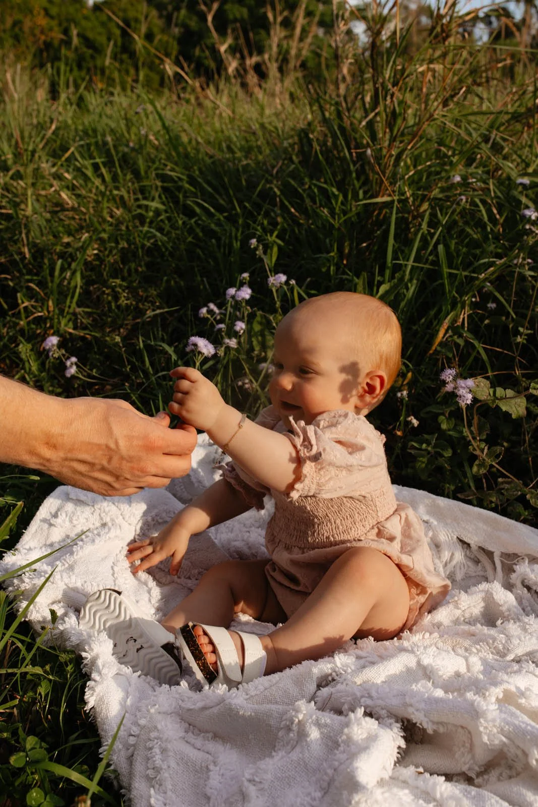 gold-coast-family-photographer-baby-reaching-for-flower.jpg