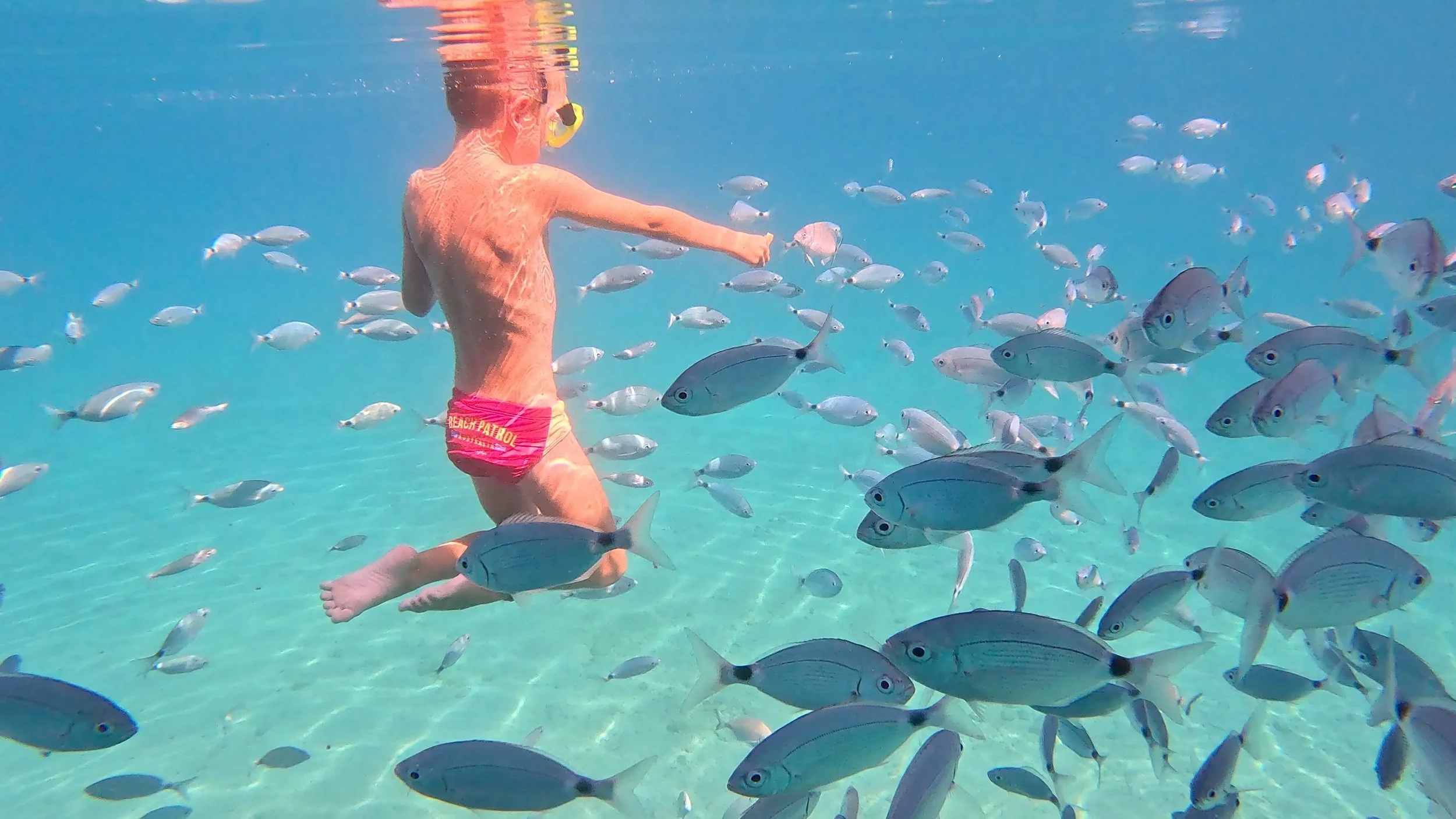 Lifestyle Shot - Swimming with Fish