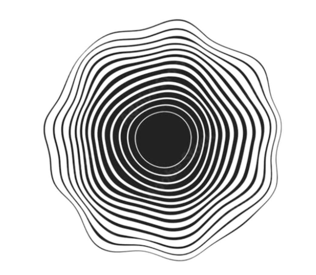 WORKSHOP SPRING 2026