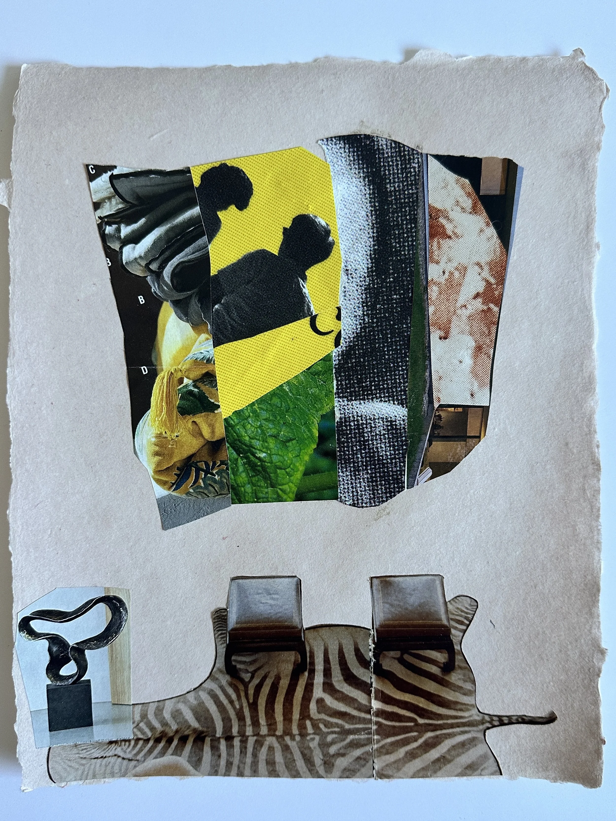  Viewing Room (Zebra Rug) 