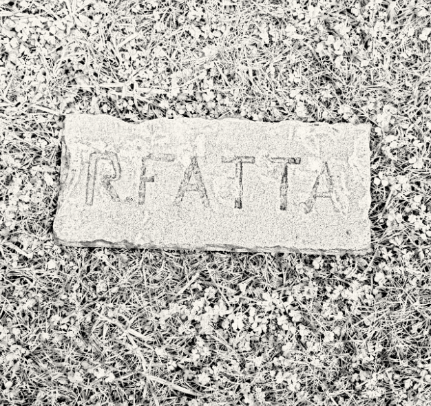 Graveyard Portraits
