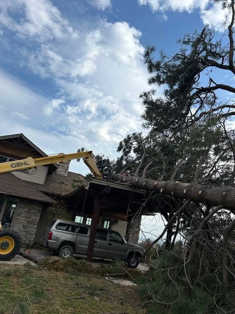 A large tree has fallen onto a house, with a construction excavator beside the tree, possibly removing it. The house has a stone wall and an SUV parked in the driveway.