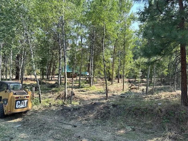 A wooded area with numerous trees and patches of bare ground, with a vintage yellow Caterpillar bulldozer parked on the left side.