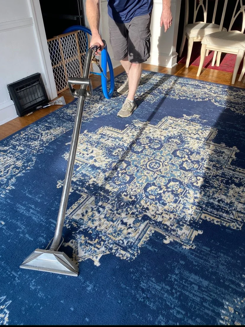 Person using a carpet cleaner on a blue and cream patterned area rug.