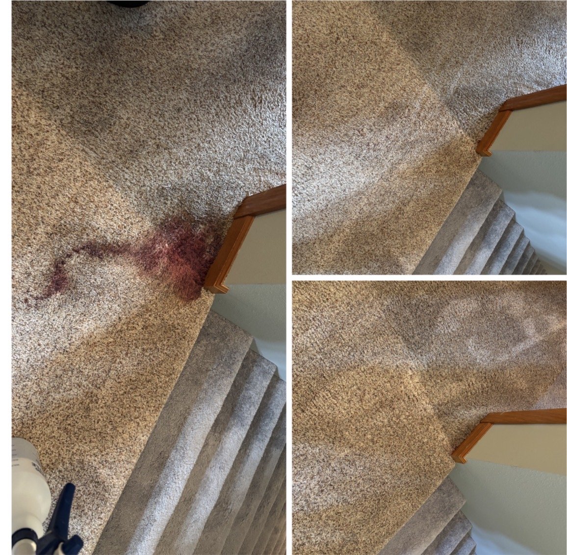 Blood on carpet.jpeg