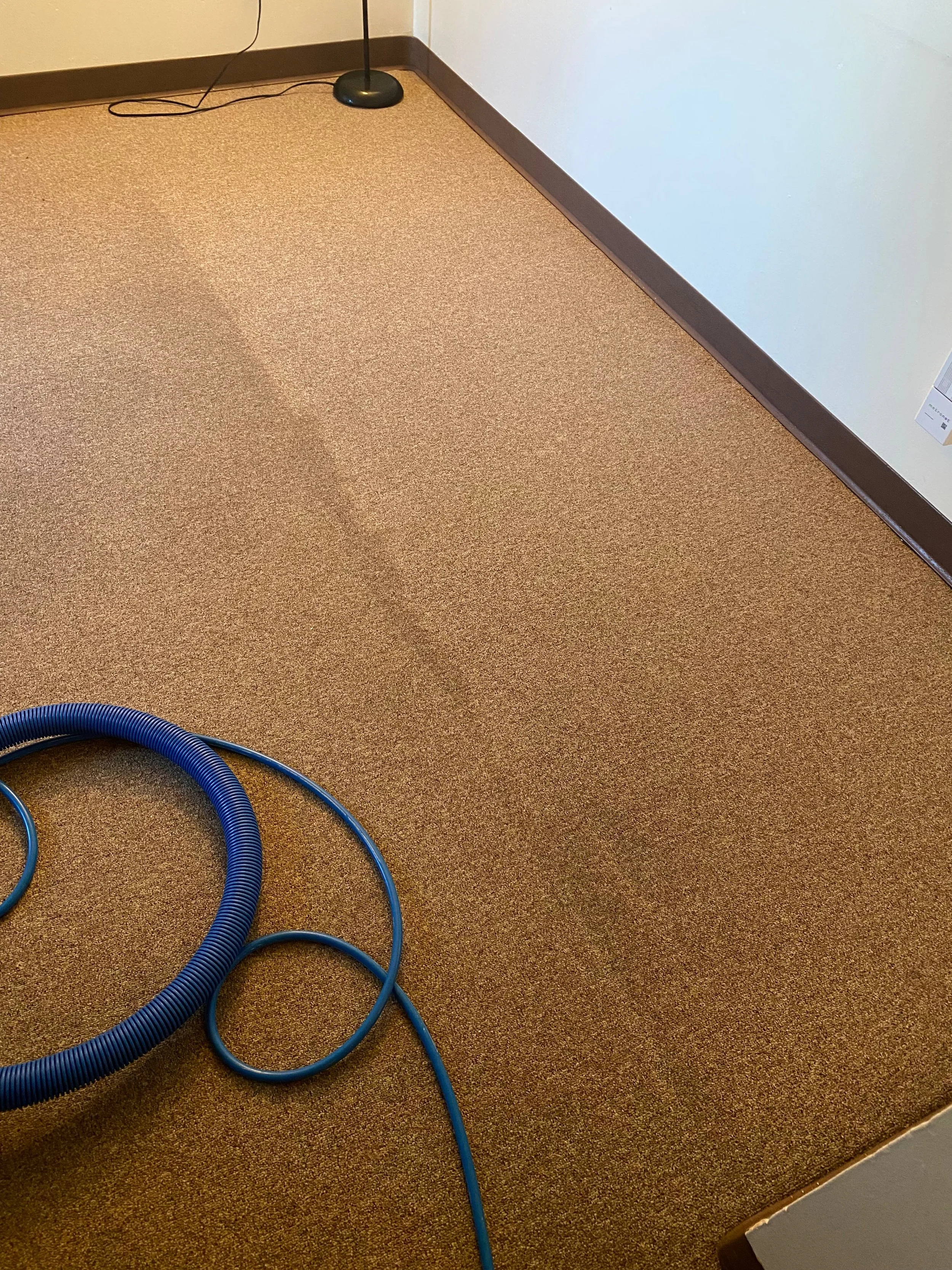 Empty room with beige carpet, white walls, a black floor lamp with a cord, and a blue vacuum hose lying on the carpet.