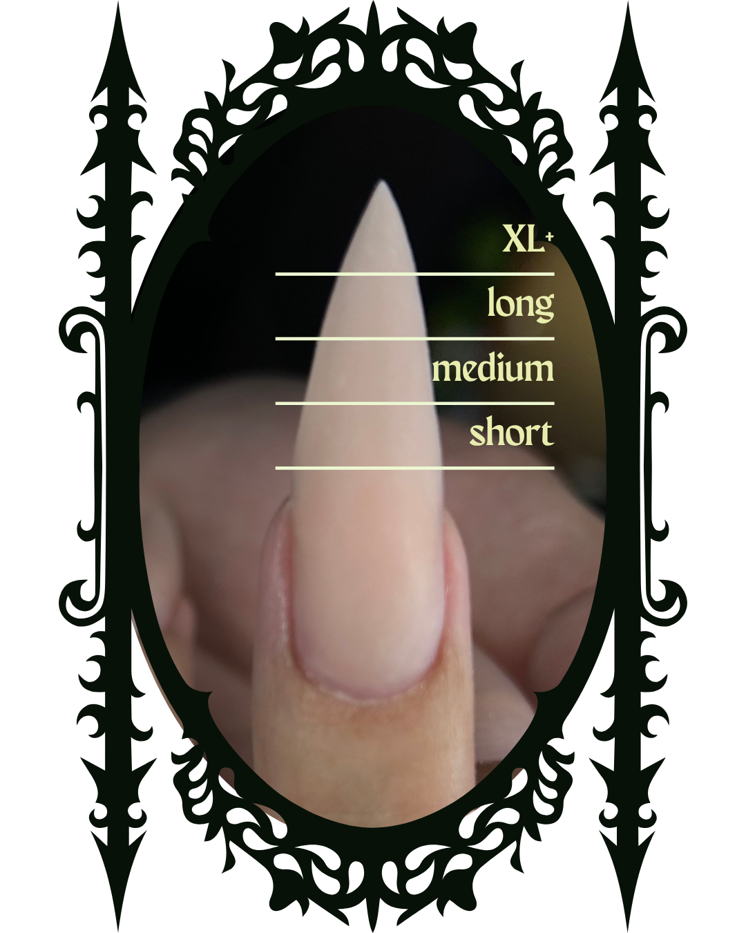 Close-up of a fingernail with size options labeled as XL+, long, medium, short, with the finger pointing straight up and surrounded by decorative black frame.
