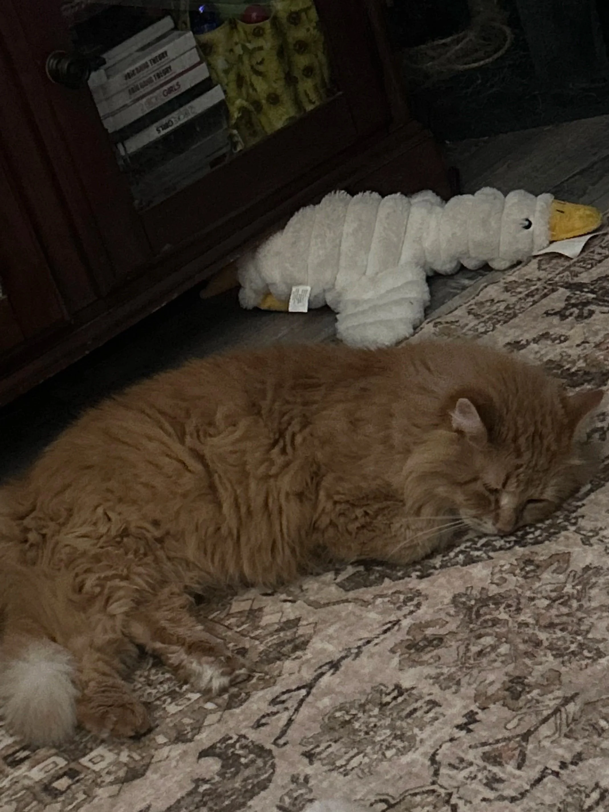 A large, orange tabby cat lying on a patterned area rug, with a plush toy resembling a white chicken or duck with a yellow beak and a black eye next to it, in a cozy indoor setting.