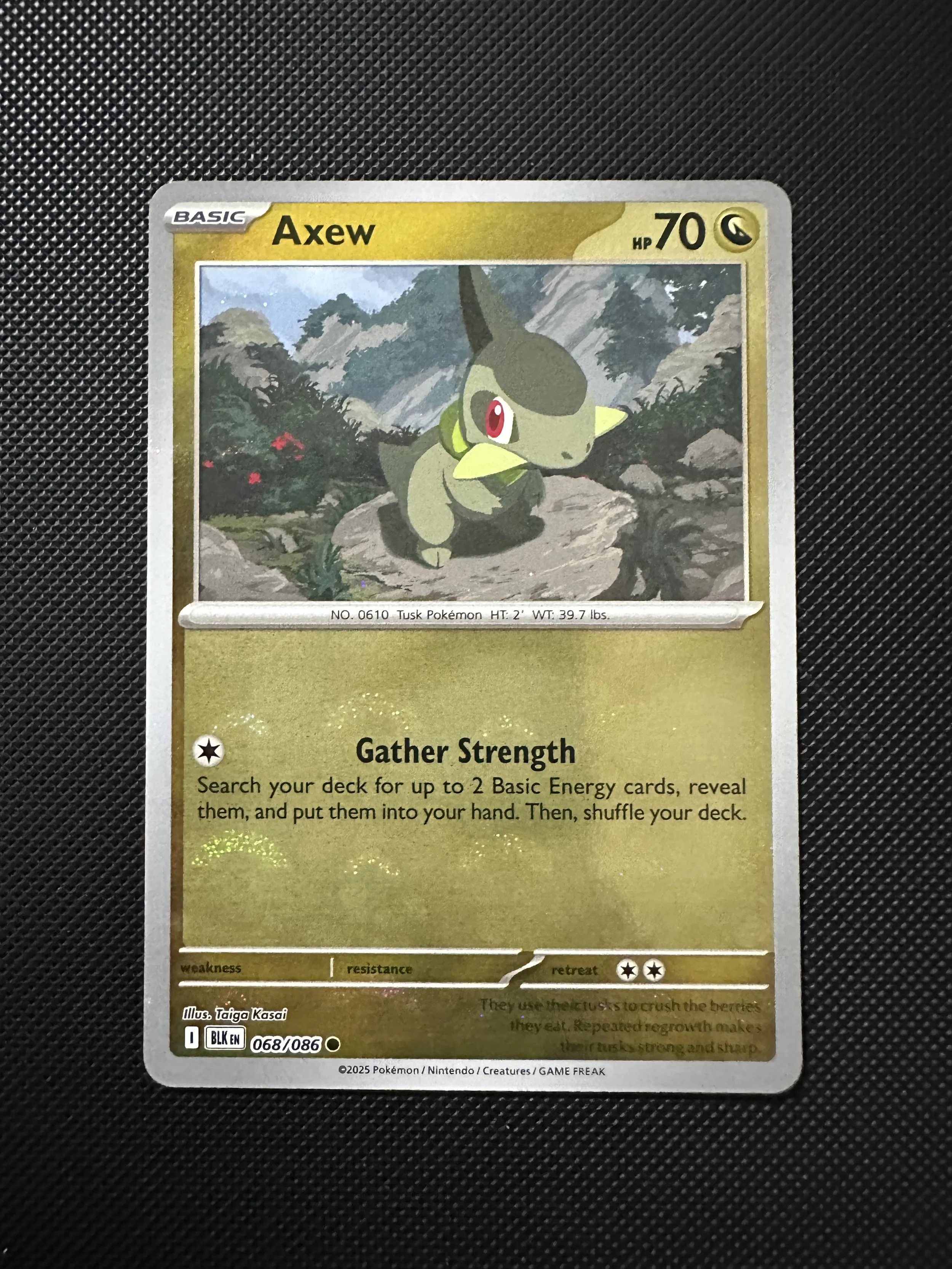 Axew Pokeball Rev Holo