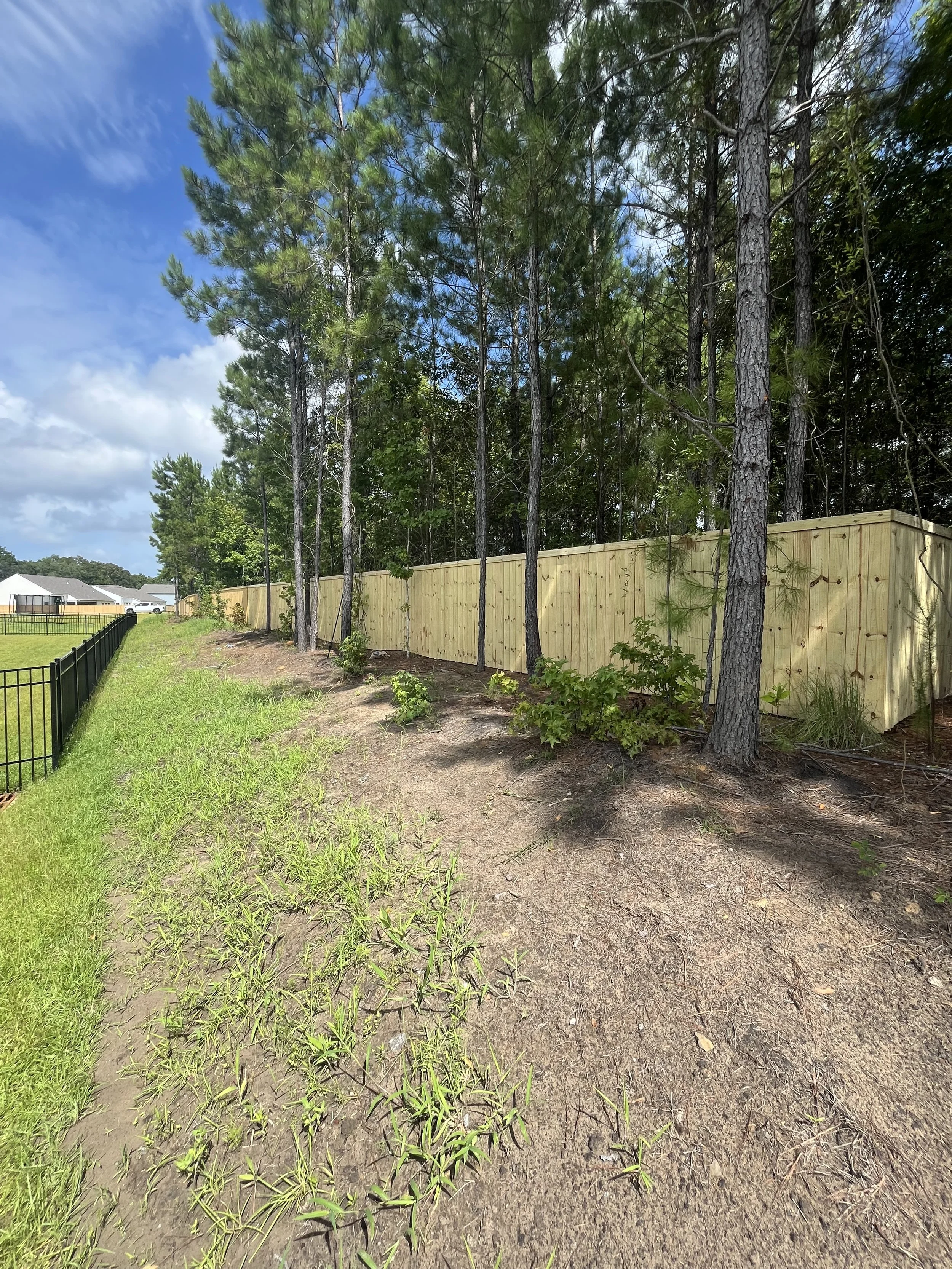 A backyard area with a wooden privacy fence, a grassy lawn on the left, and a row of tall pine trees behind the fence. The sky is partly cloudy with patches of blue.