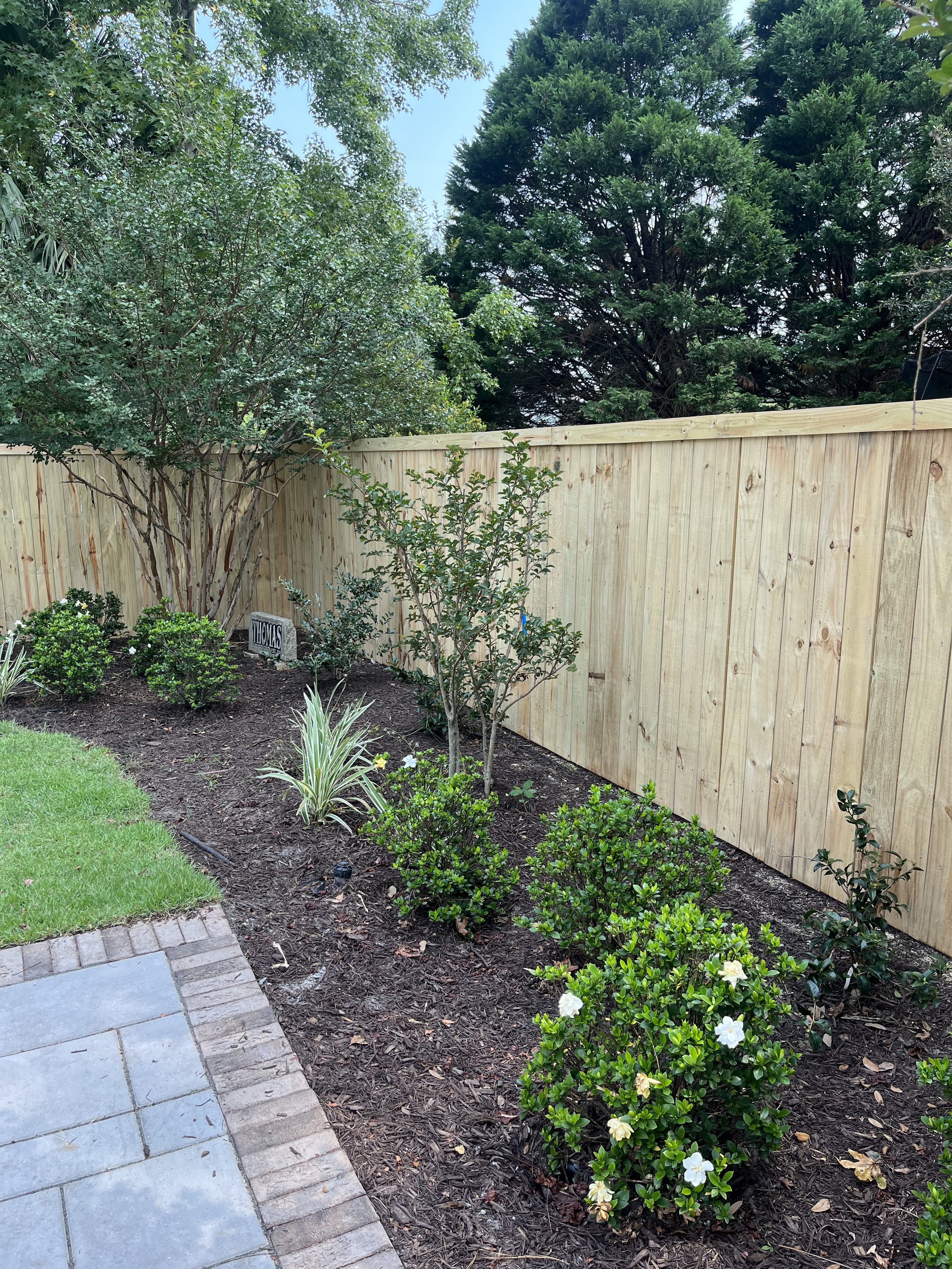 A landscaped backyard garden with a wooden privacy fence, various green shrubs and trees, and a pathway with concrete and brick edging.