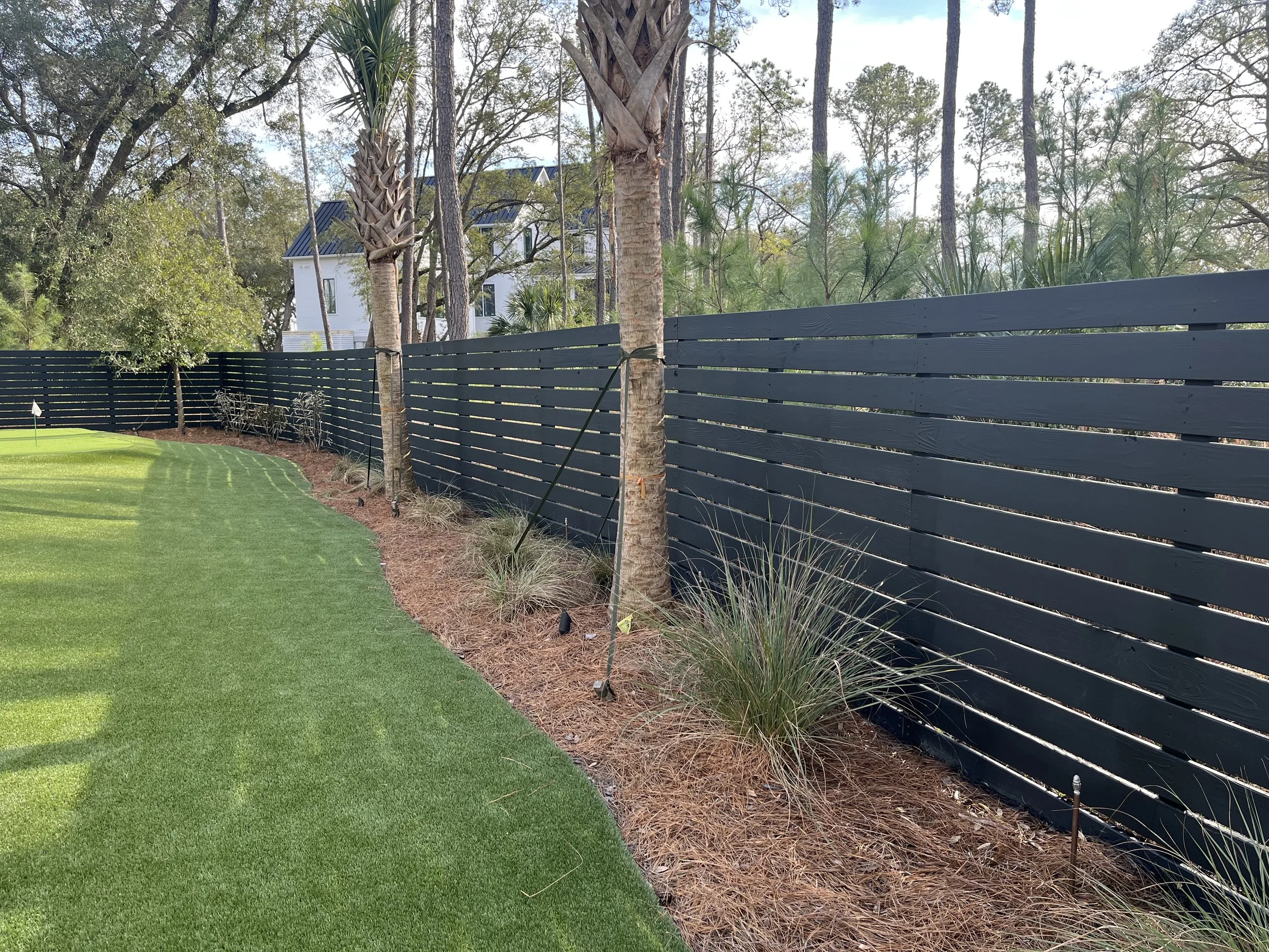 A backyard with a green lawn, a black wooden fence, several palm trees, and a white house with a dark roof in the background. The sky is partly cloudy.