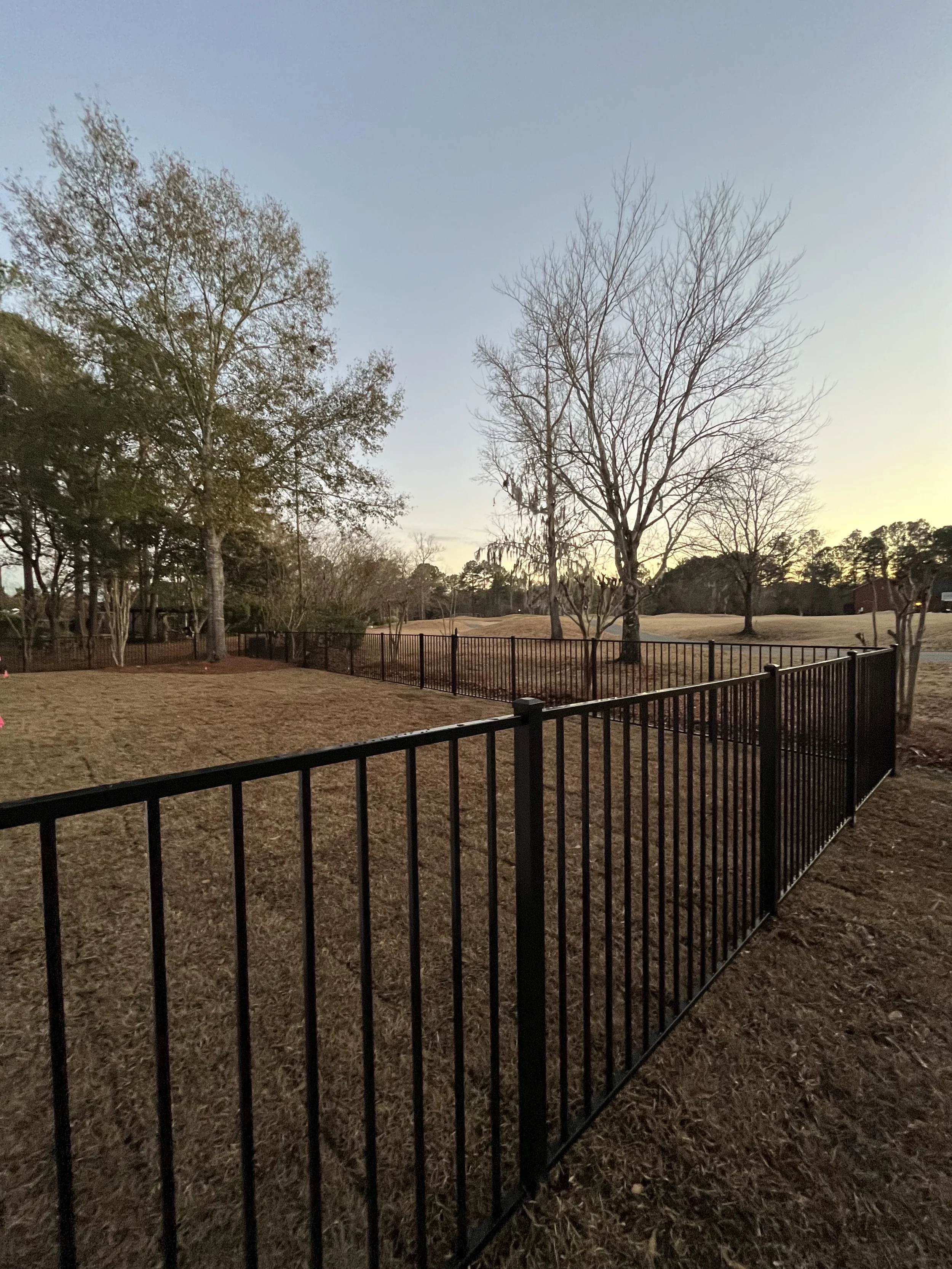 An aluminum fenced-off garden or yard area with a grassy field and leafless trees under a clear sky at sunset.