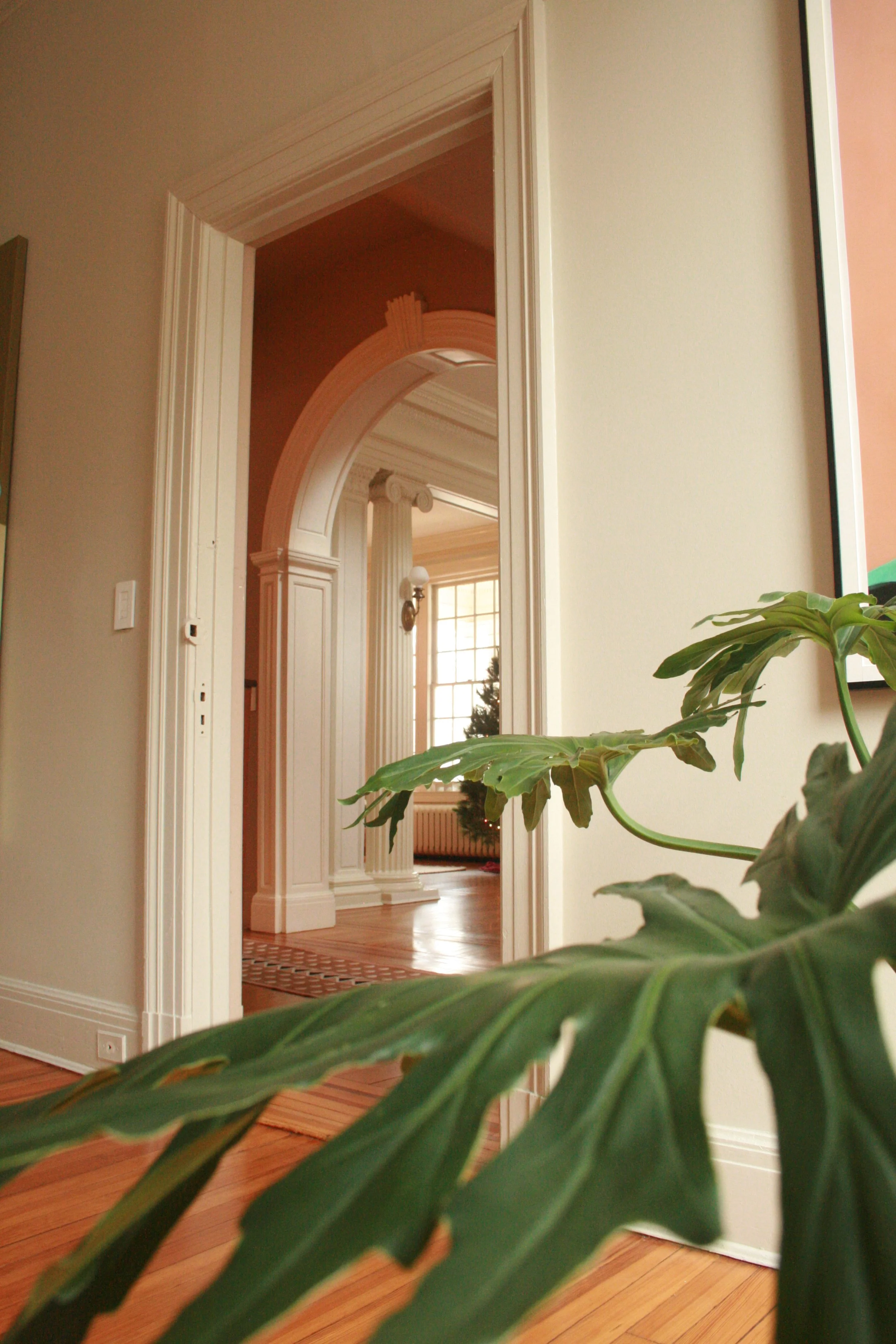 Whole-Home Renovation