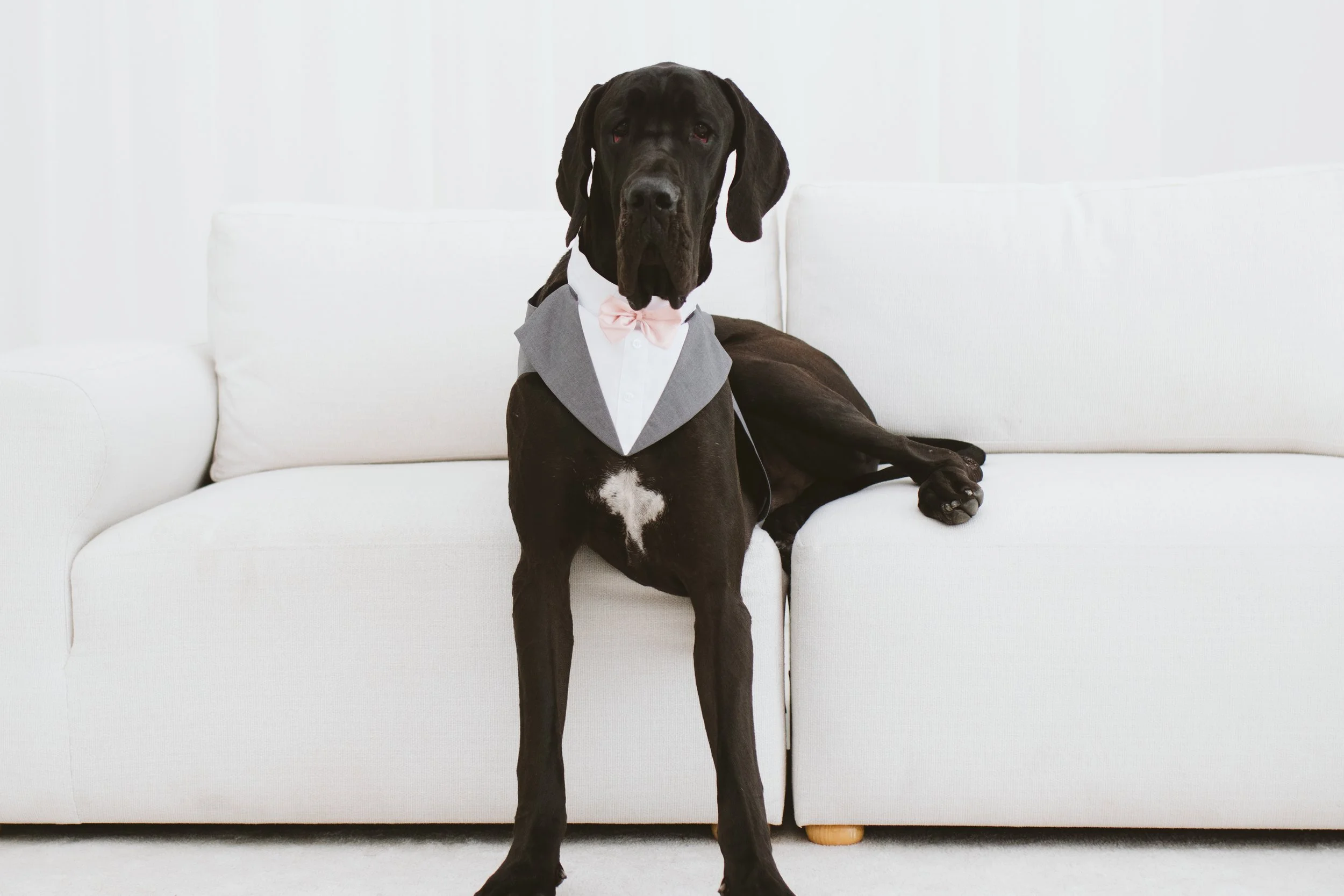 Welcome to AI Trust Talks with Emma Johnson