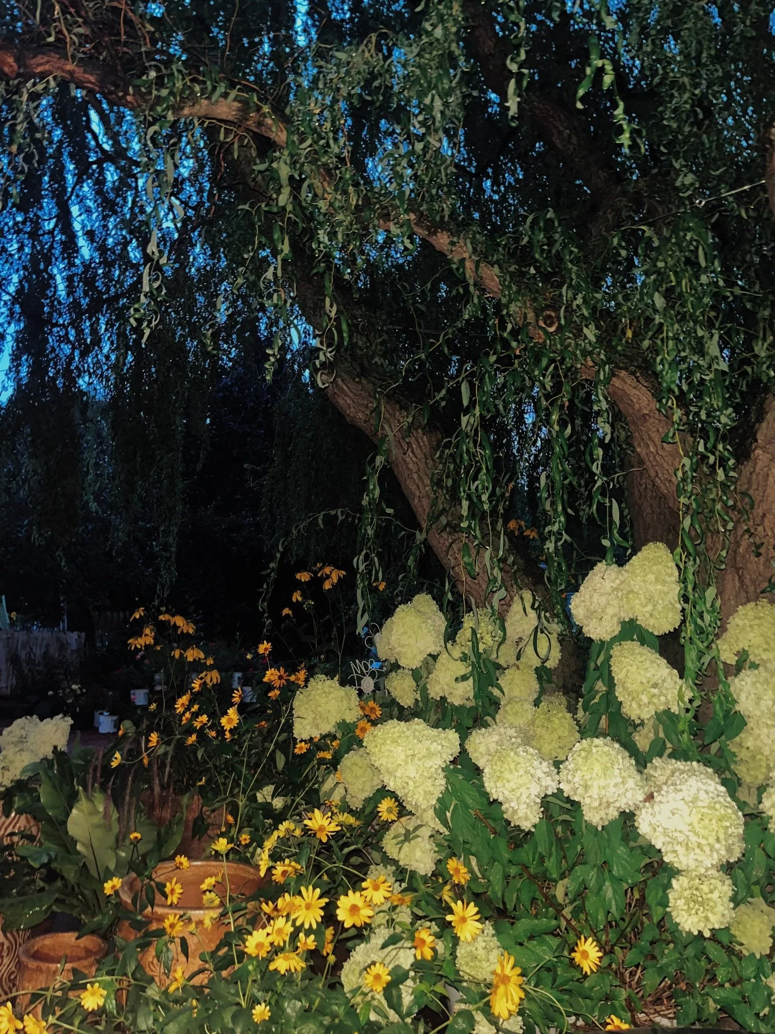 e642f32e5eae53d25c4b11a2c11152dc-22a407cd-2500 (1).jpg