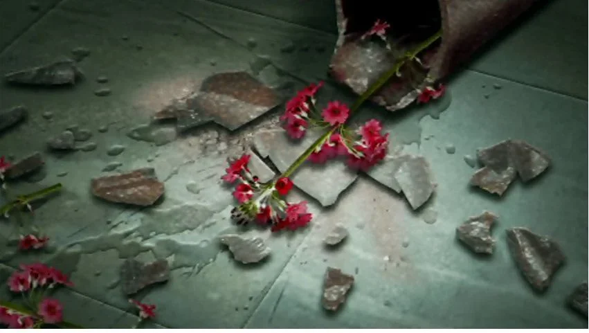 The times you've come