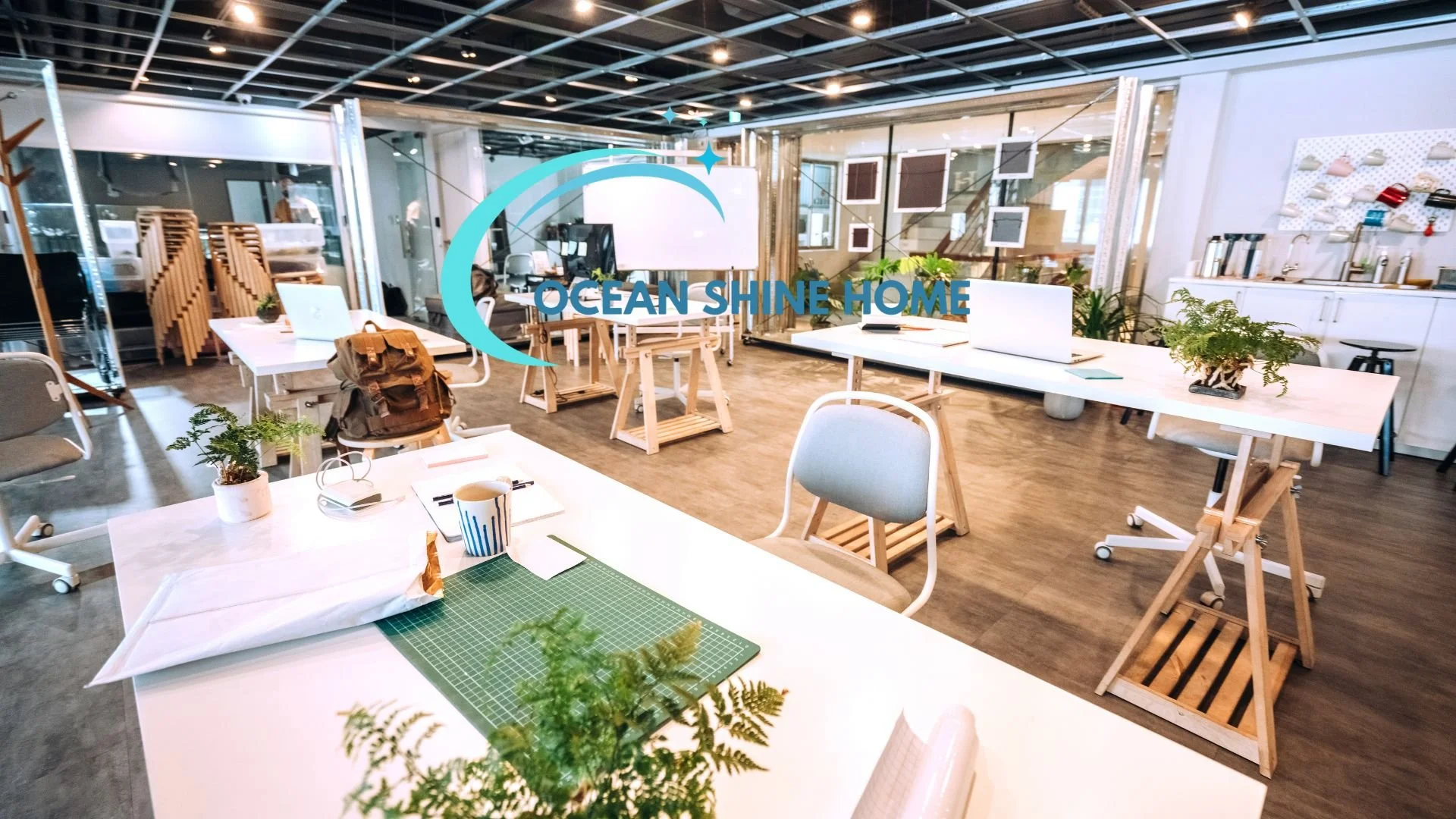 coworking cleaning Manly  shared office cleaning Dee Why  office cleaning Mona Vale  commercial cleaners Narrabeen  workspace cleaning Freshwater