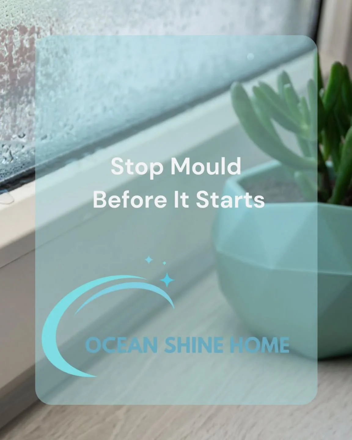 ❄️ Winter in Sydney means cosy mornings... but it also creates the perfect conditions for mould to thrive.

Homes across the Northern Beaches and North Shore are especially vulnerable during winter. Cooler temperatures, ocean air and increased indoor