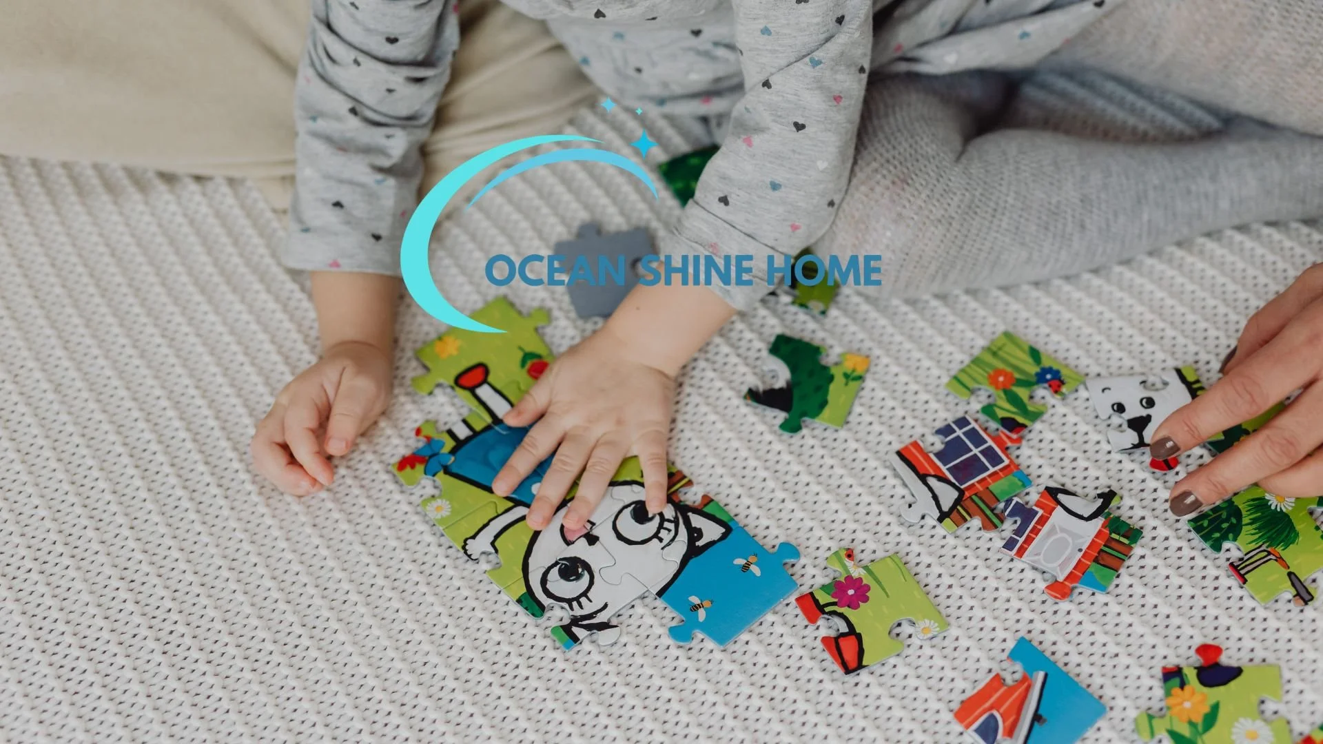 affordable household support Mona Vale, domestic support plan Sydney overnight kids care sydney,