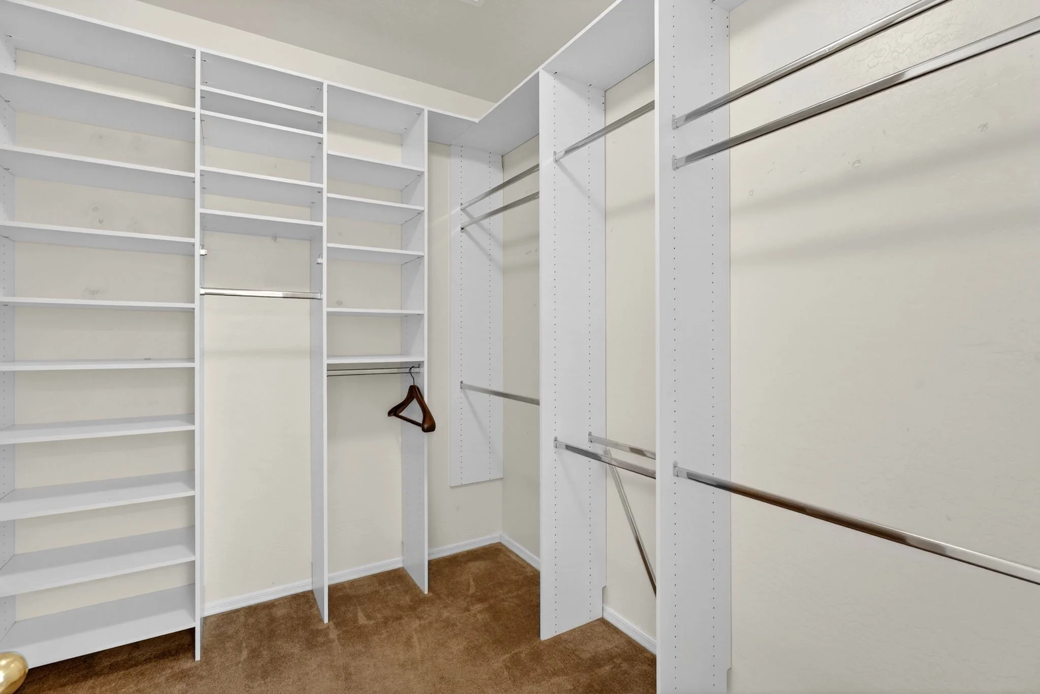 Empty white closet with multiple shelf and rod sections, brown carpeted floor, and small personal hanger.