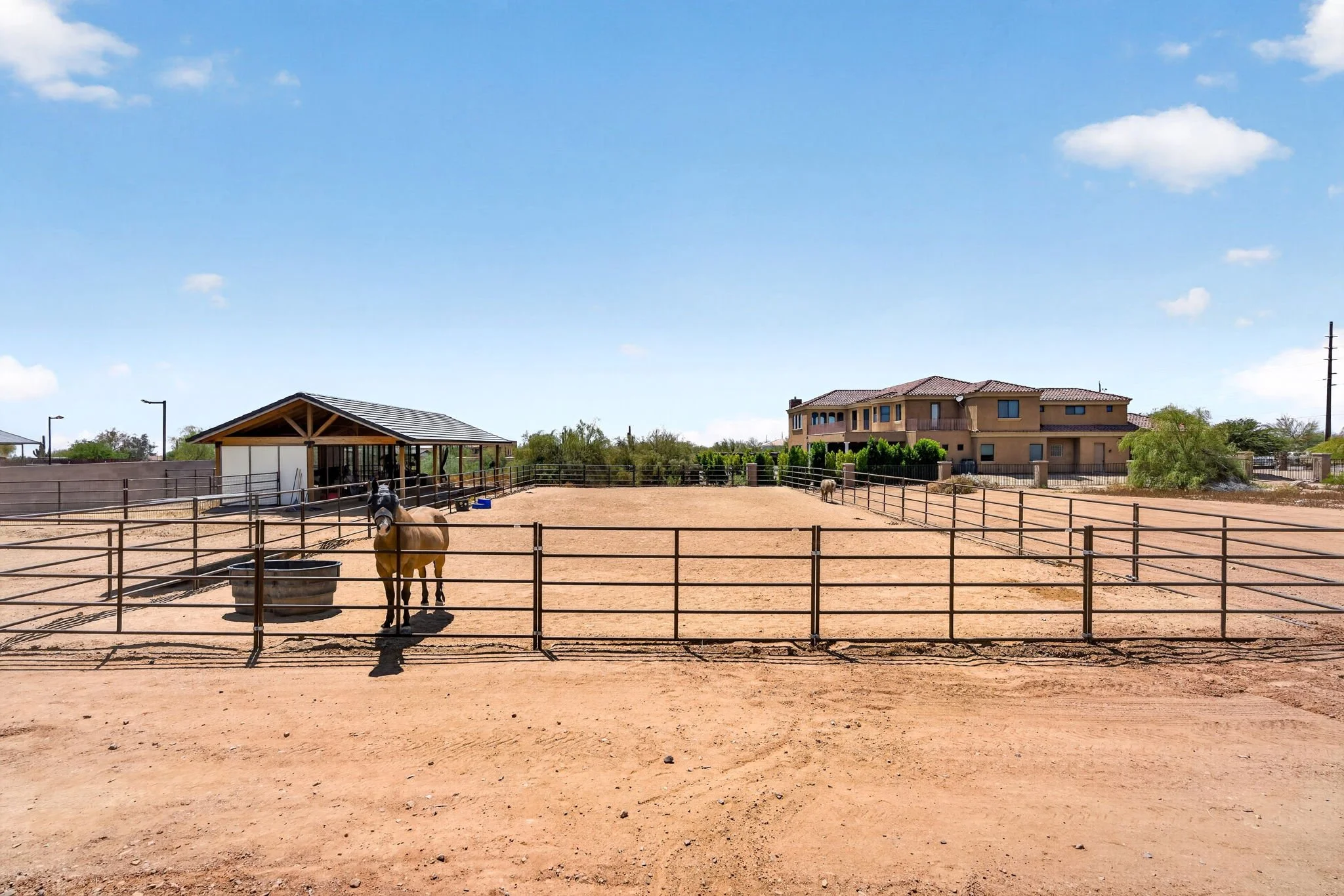 A fenced outdoor area with a horse standing next to a water bucket, a small shelter, and a larger house in the background under a blue sky with scattered clouds.
