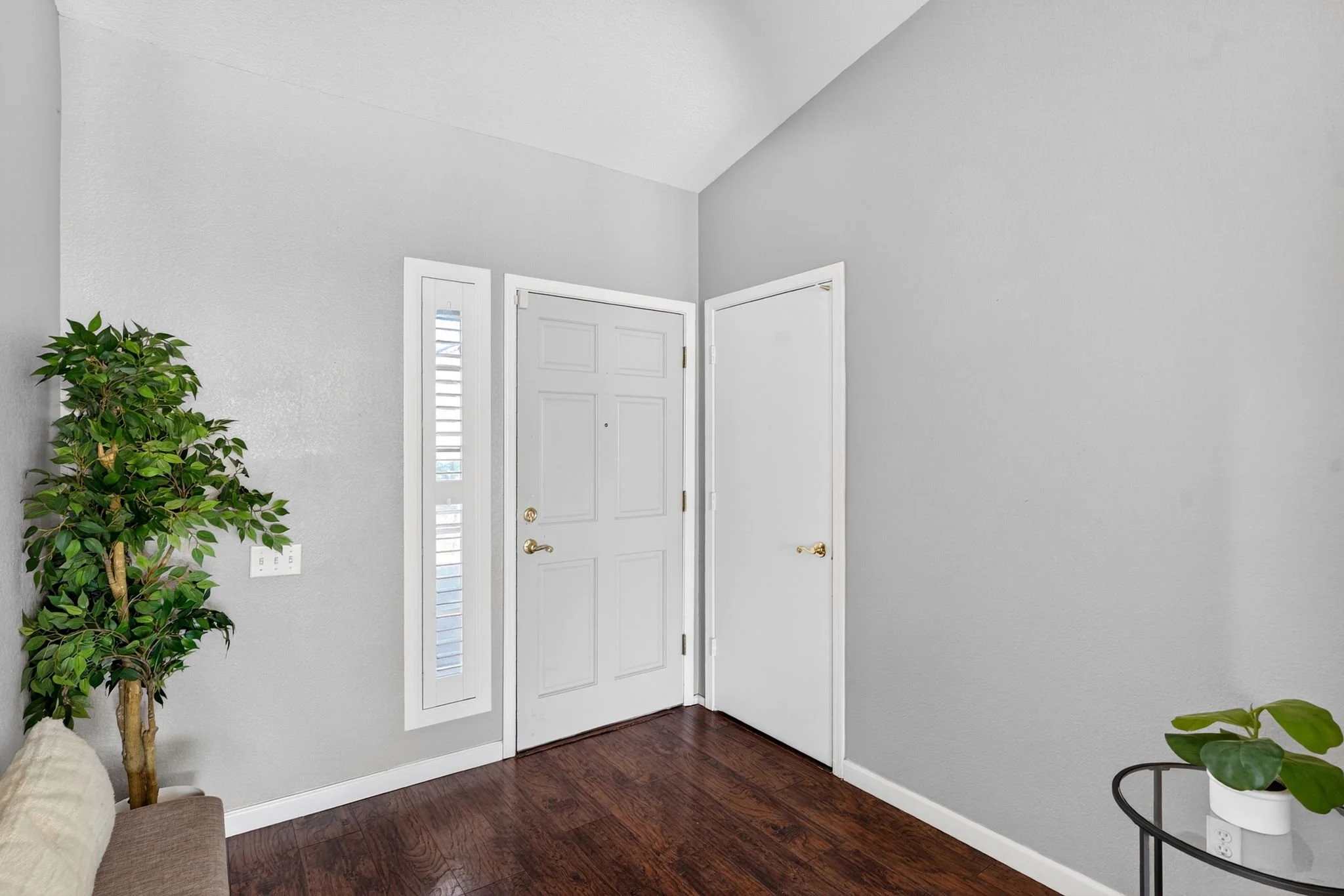 Entryway with white door, side window blinds, green plants, and wooden floor.