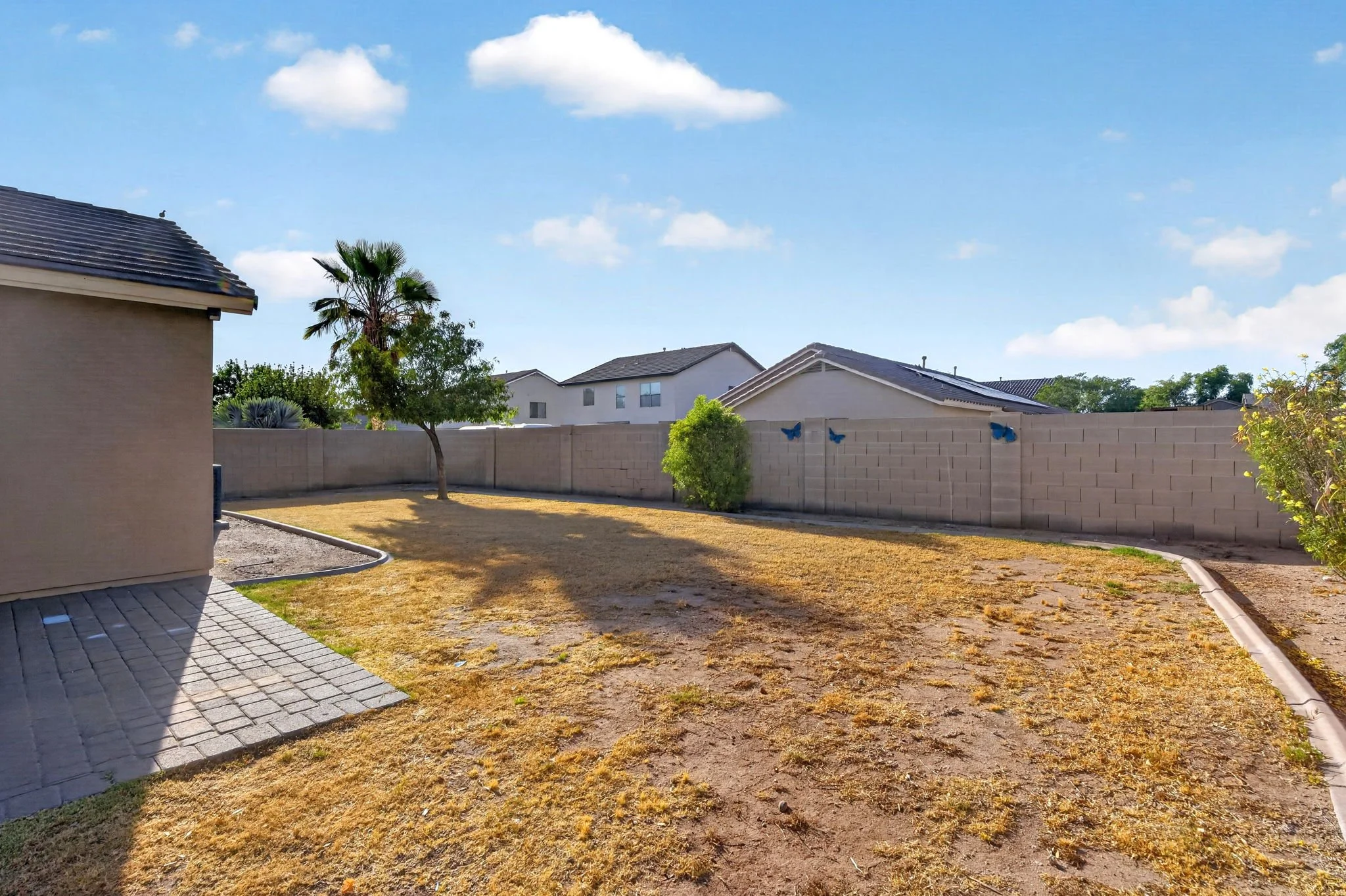 Backyard with dry grass, a small tree, a block wall with blue butterfly decorations, and neighboring houses under a partly cloudy sky.