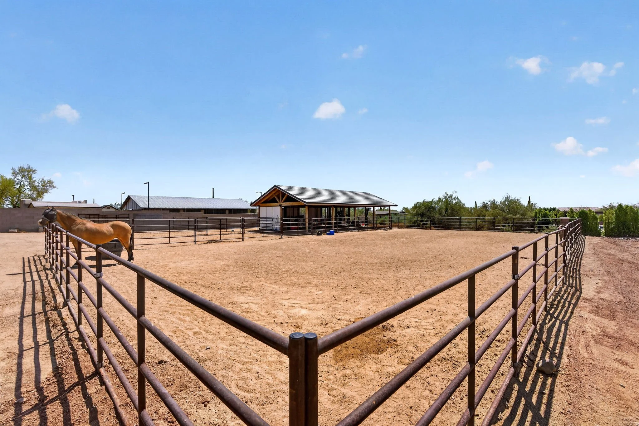 A dirt outdoor horse riding arena enclosed by a black metal fence, with a single horse grazing near the corner. In the background, there is a small shelter with a metal roof, and a few buildings and trees under a clear blue sky with some clouds.