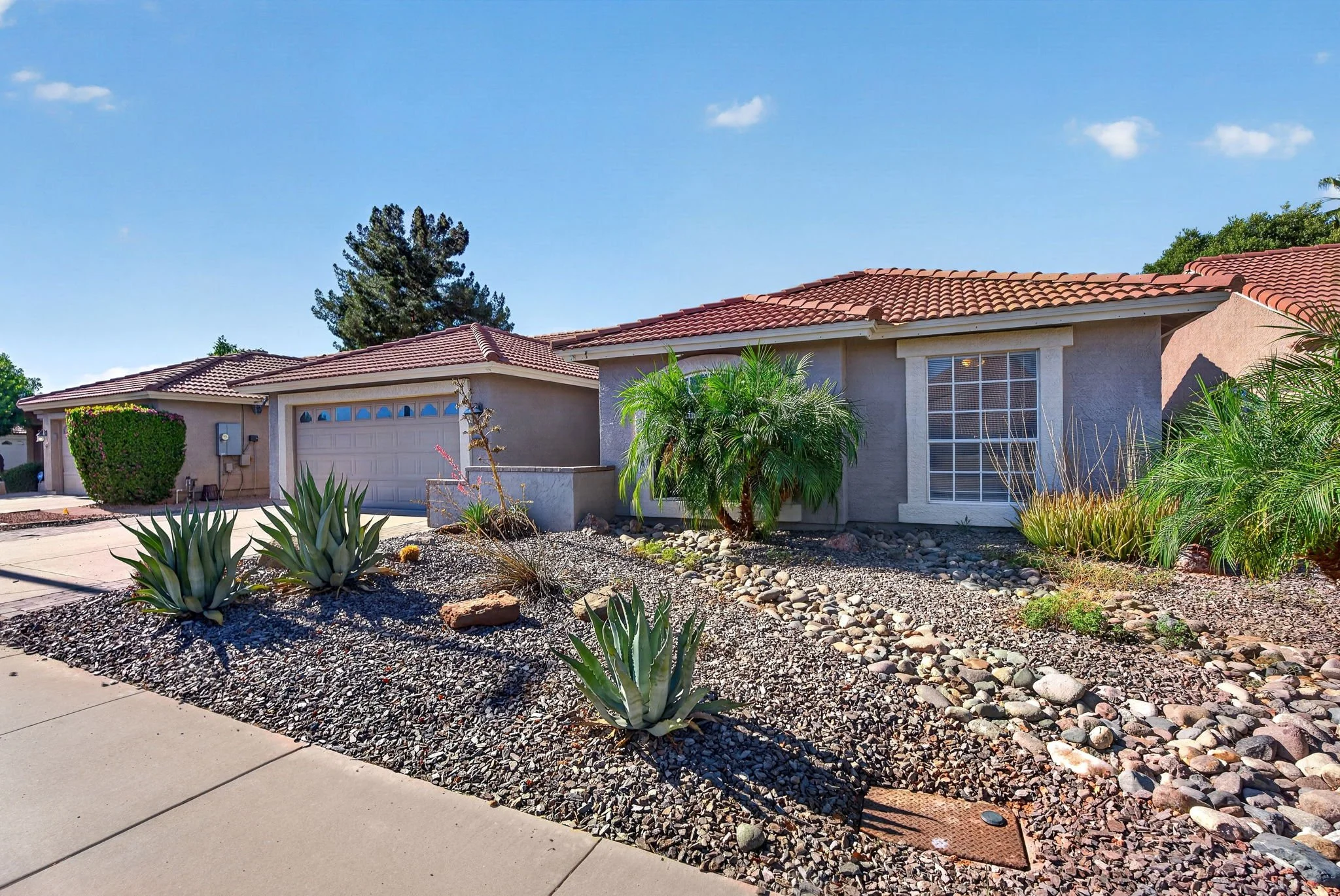 A single-story house with a red tile roof, gray walls, and a large window. The front yard has drought-resistant plants, succulents, and rocks with a sidewalk in the foreground.
