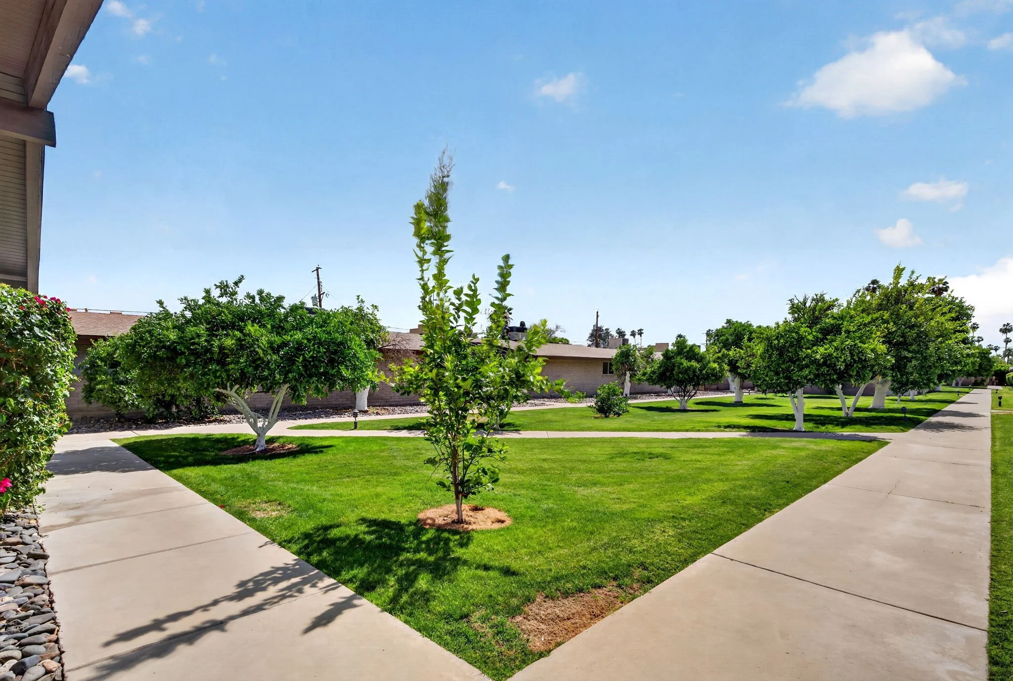 Residential neighborhood with well-maintained lawns, various trees, concrete sidewalks, and blue sky with scattered clouds.