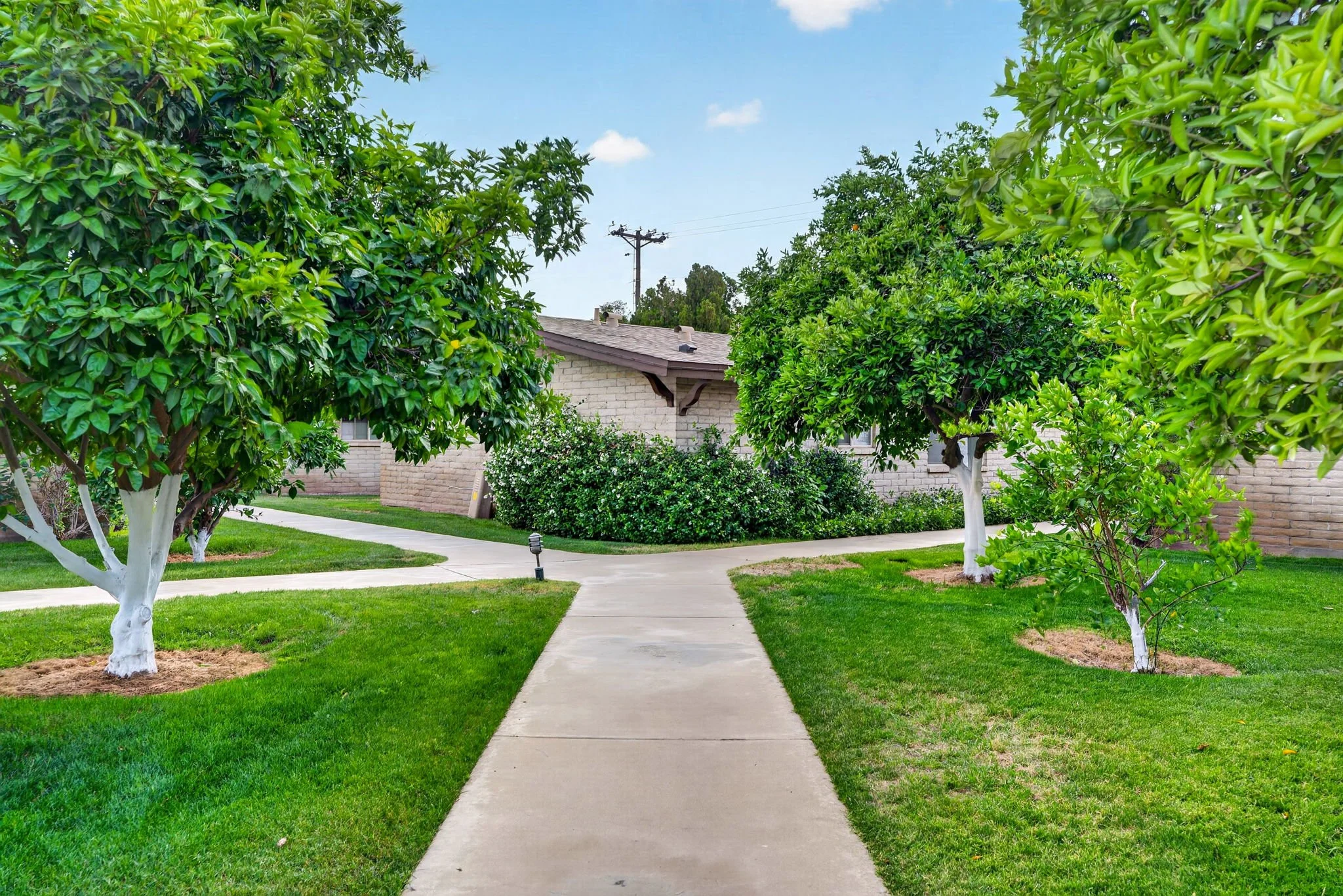 A sidewalk in a residential neighborhood lined with green trees and neatly trimmed grass, with a house visible in the background and a blue sky with a few clouds overhead.