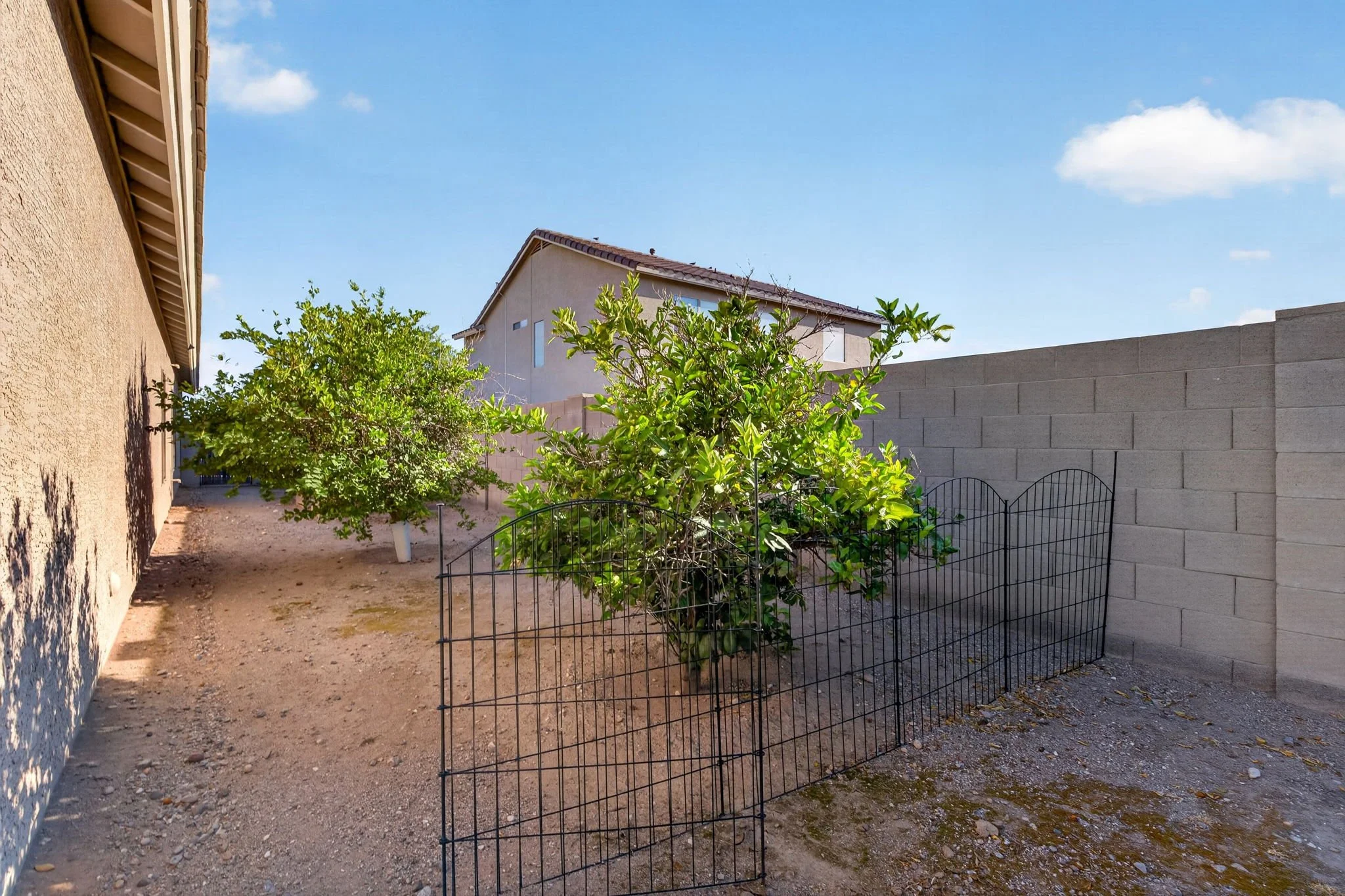 A backyard scene with a dirt ground, a large green bush in a small fenced area, neighboring houses with beige and gray walls, and a clear blue sky with a few clouds.